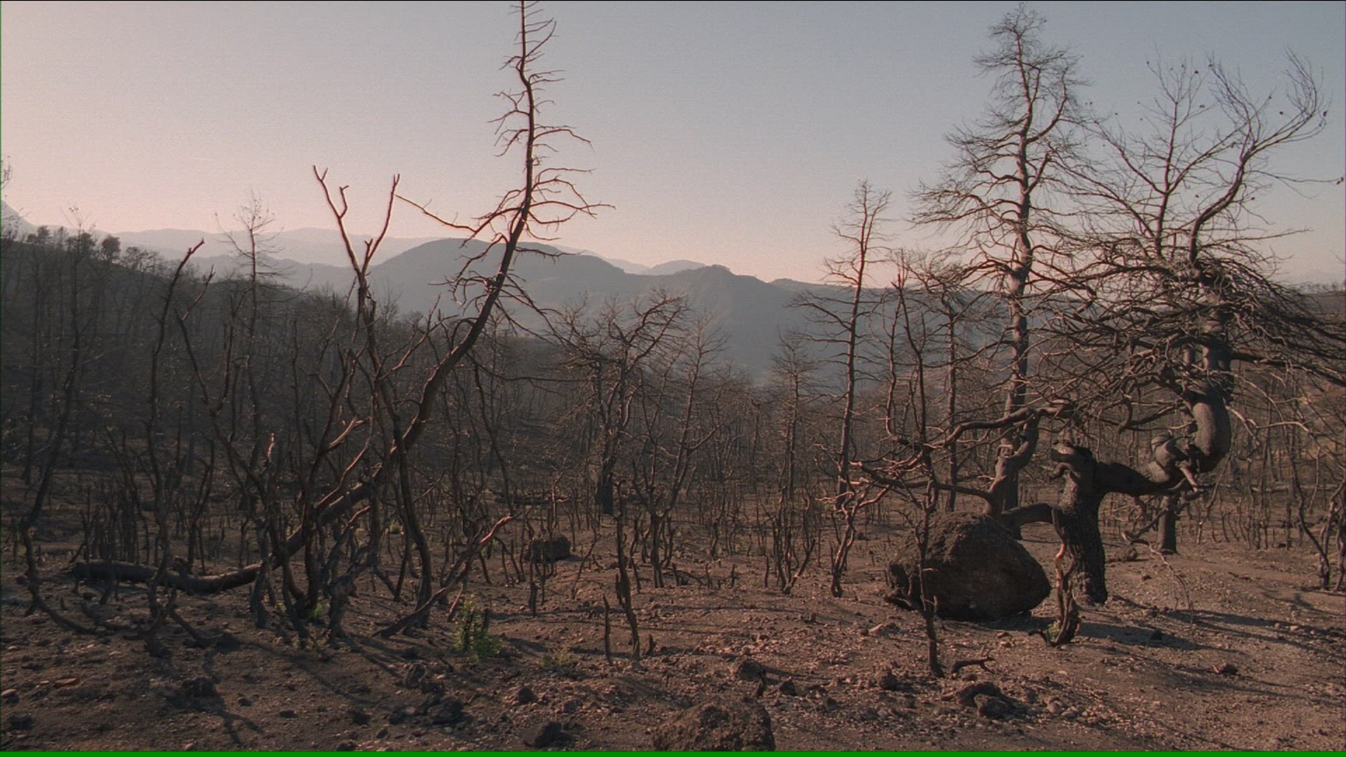 287896797 / Aftermath / Forest Fire / Greece