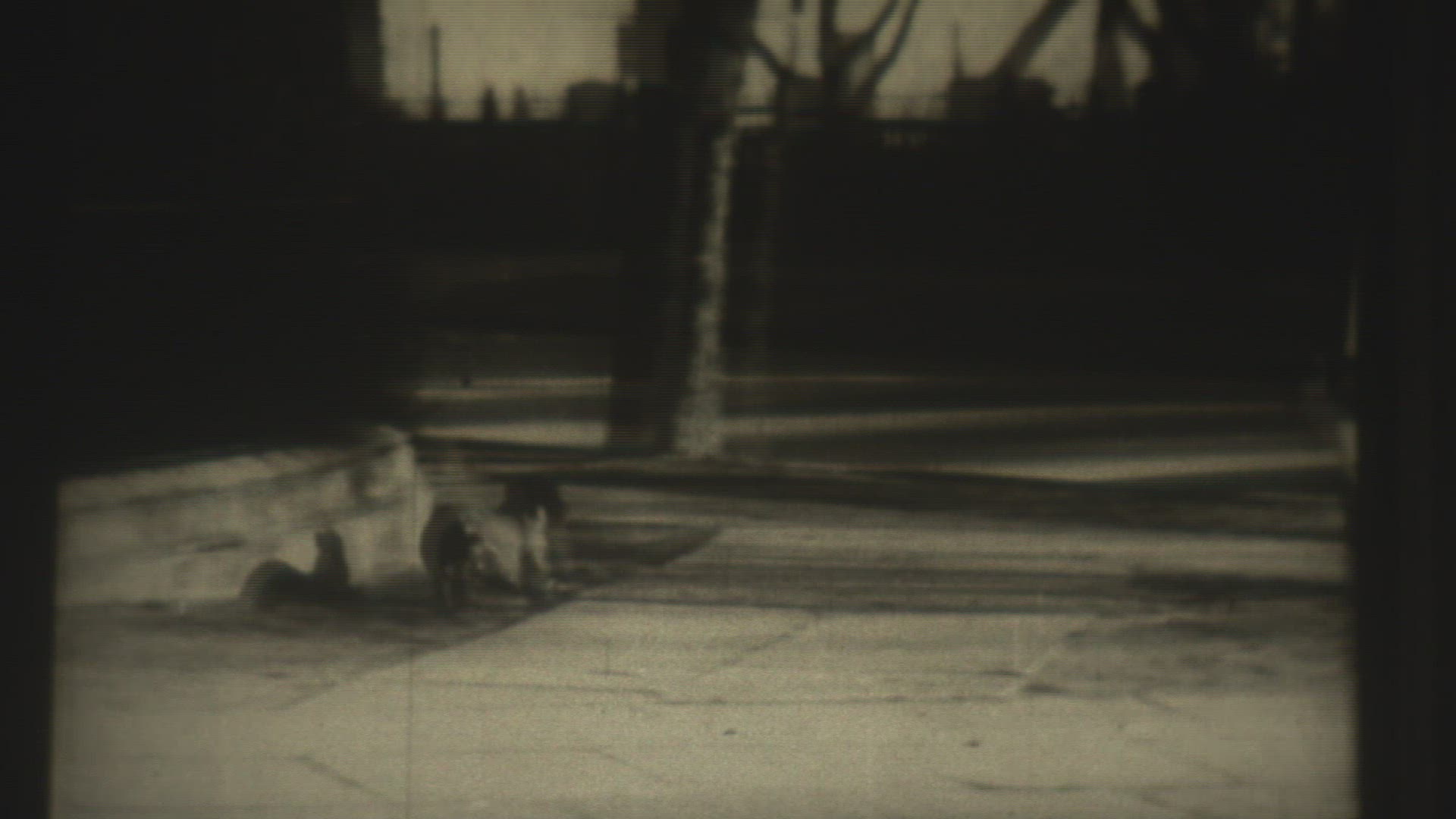 825082422 / Die Dackelballade / Film / 1950