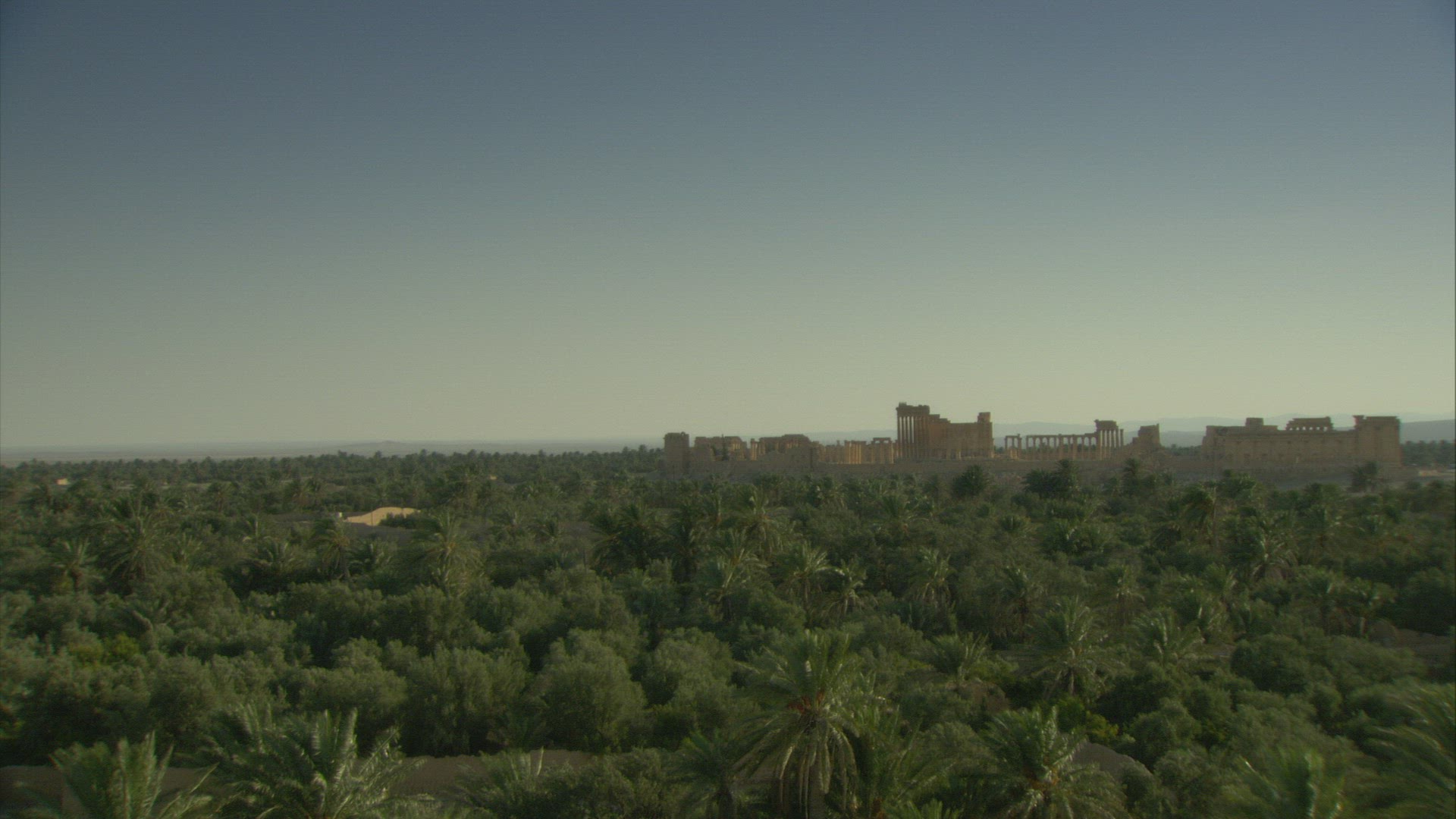 688097693 / Oasian City / Palmyra / Syria