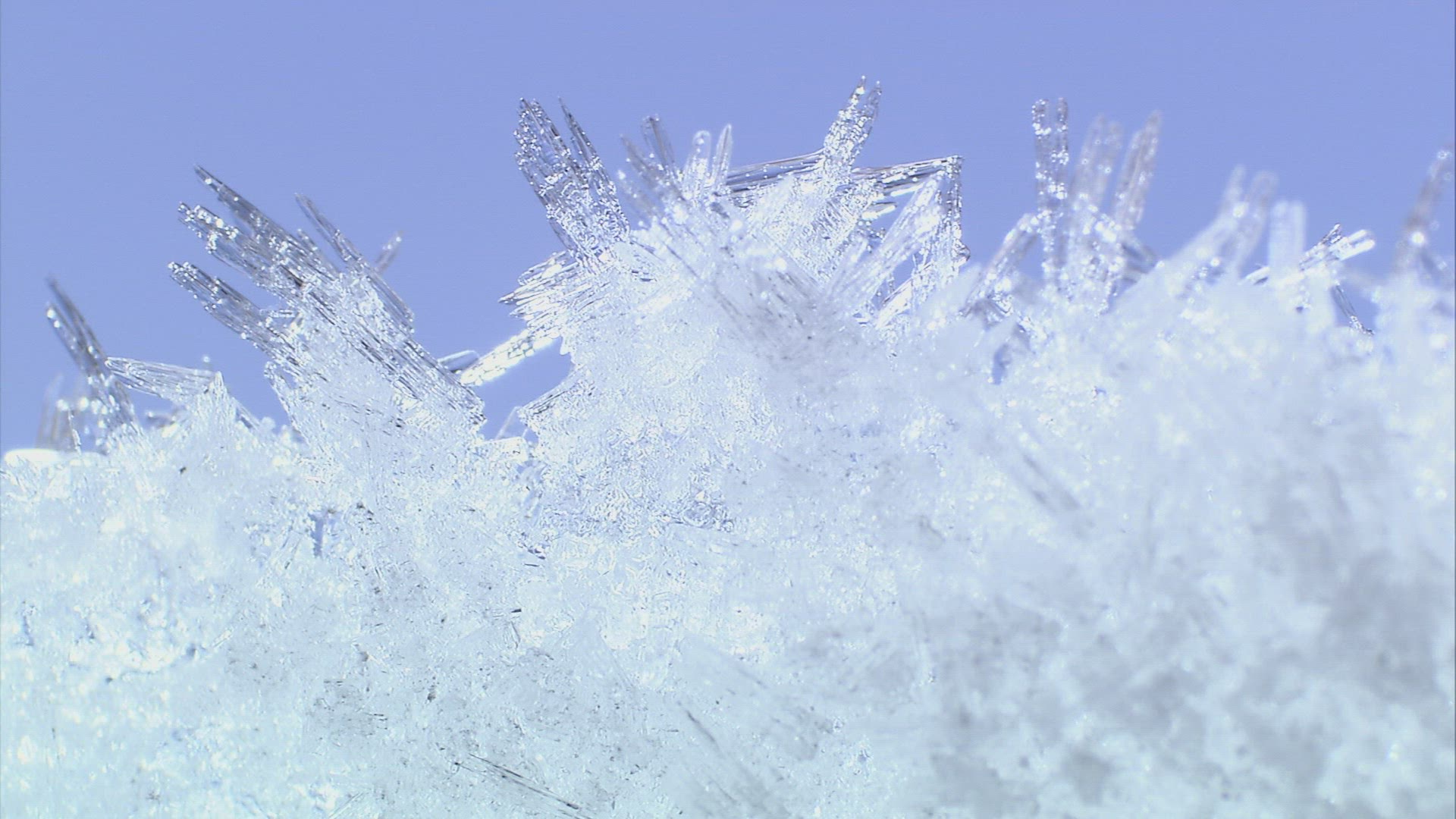 402950872 / Ice Crystal / Frost