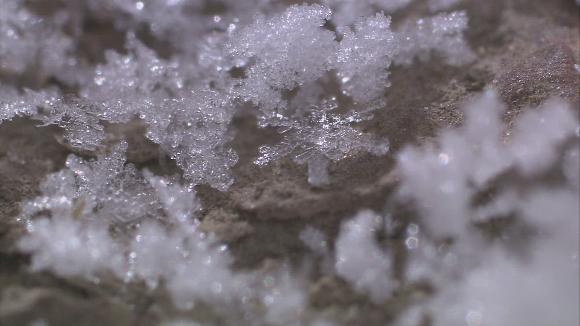 887538347 / Snow Crystal / Rock