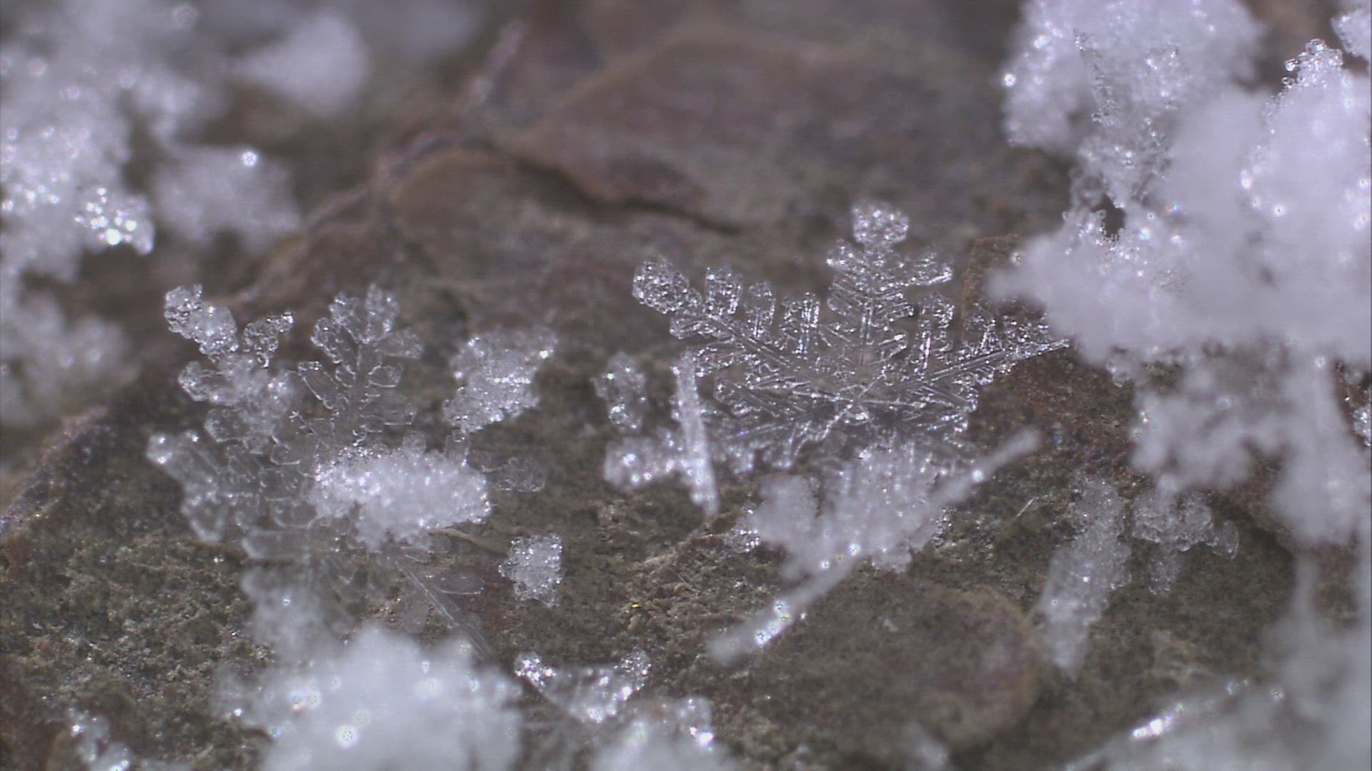 102846589 / Snow Crystal / Rock
