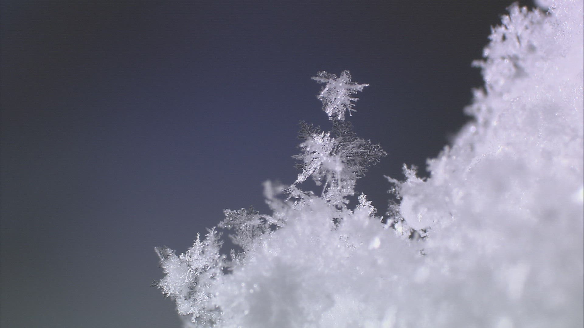 217685725 / Snowflake / Snow Crystal