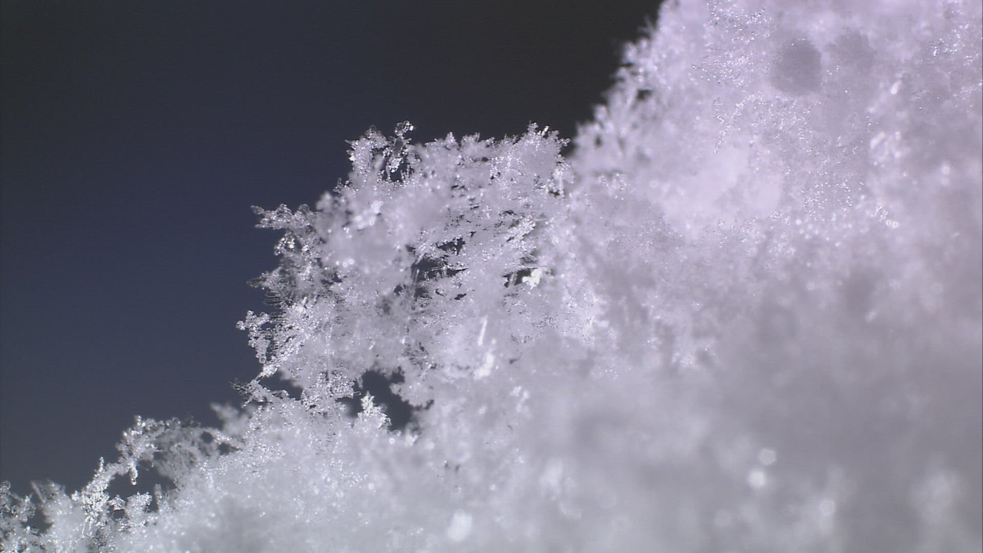 504130270 / Snowflake / Snow Crystal