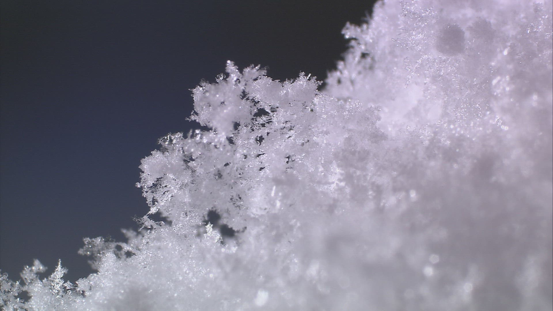 782136808 / Snowflake / Snow Crystal