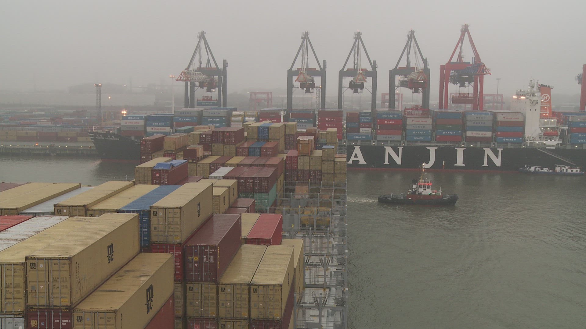 557341556 / Container Harbor / Germany / Fog