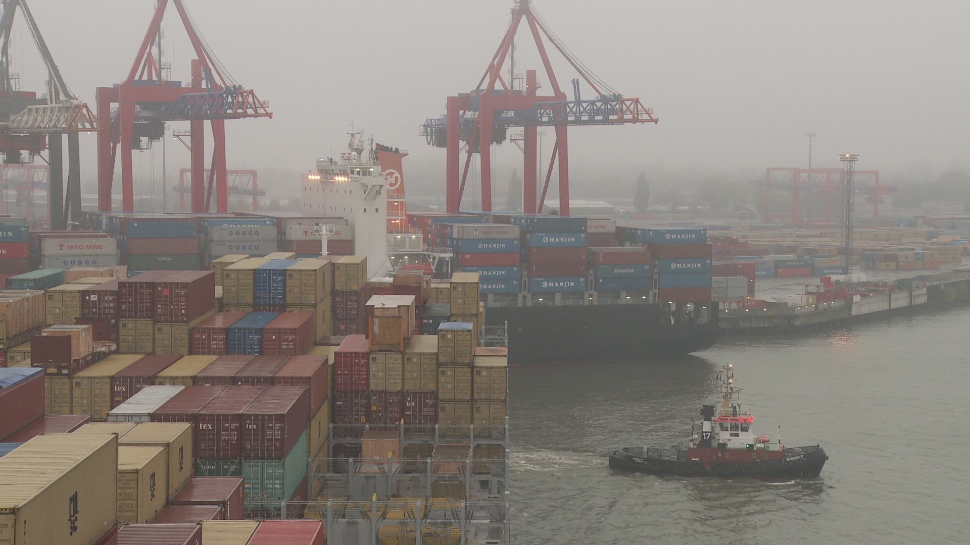 703255367 / Container Harbor / Germany / Fog