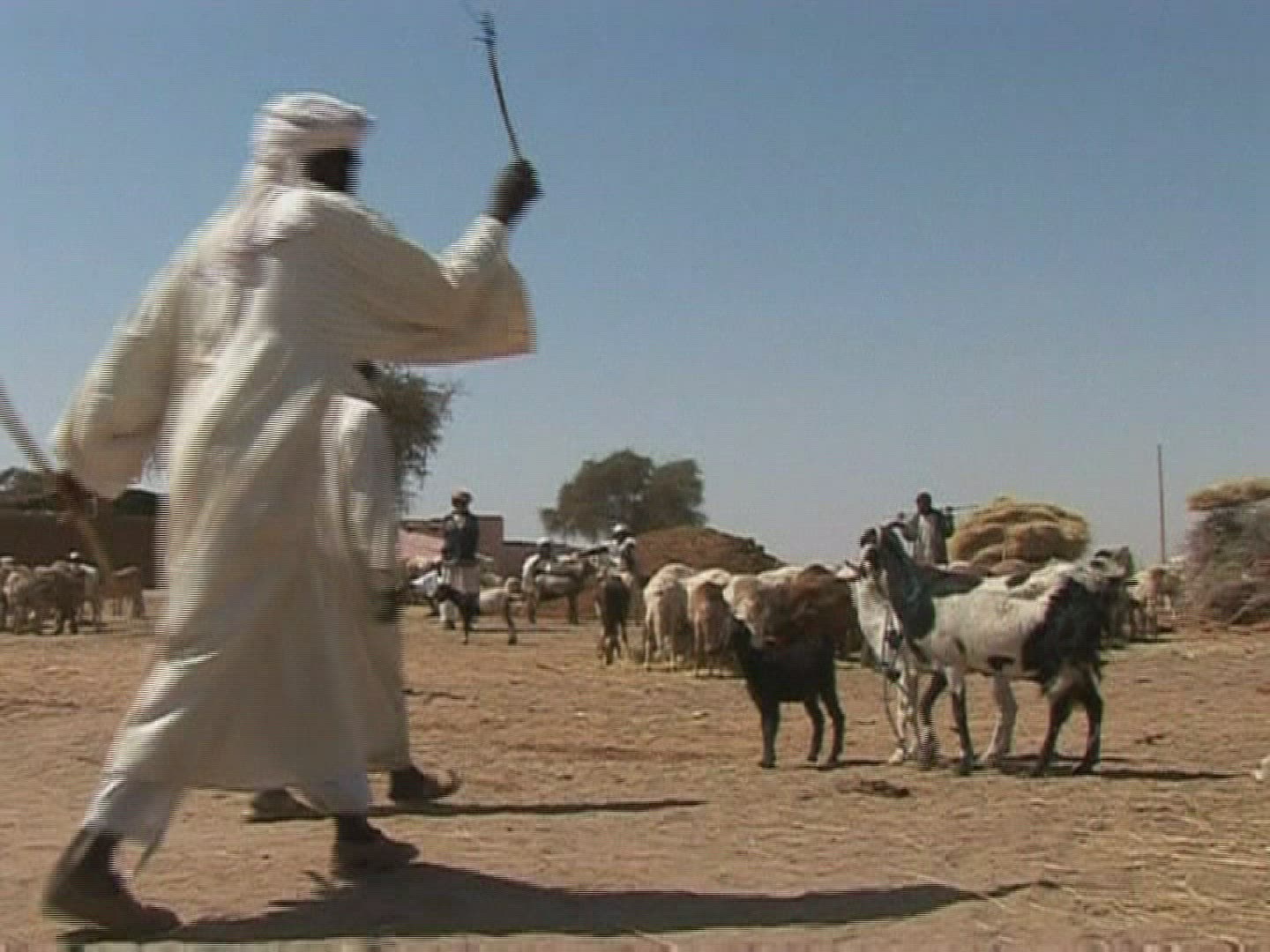 248768758 / Climate Change / Environment / Sudan