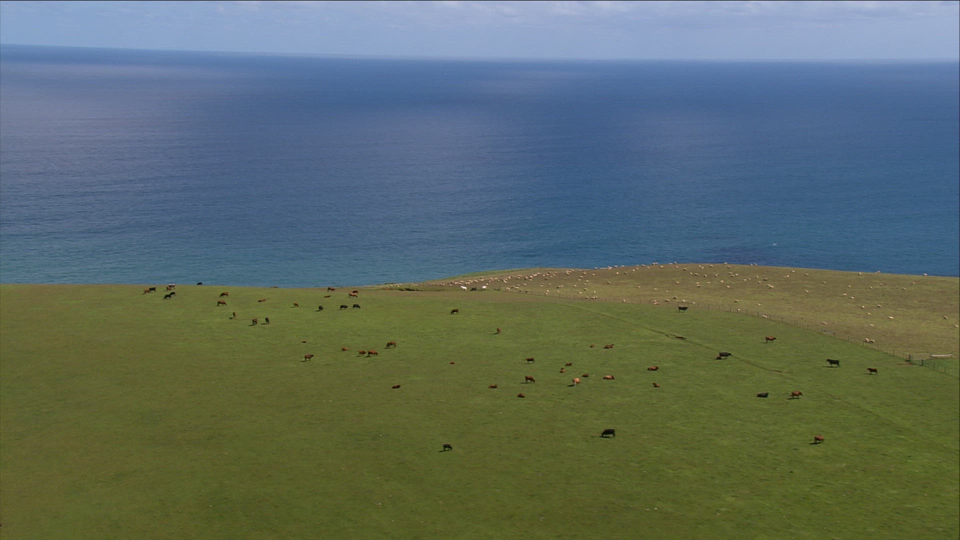 296253113 / Agribusiness / North Island / New Zealand