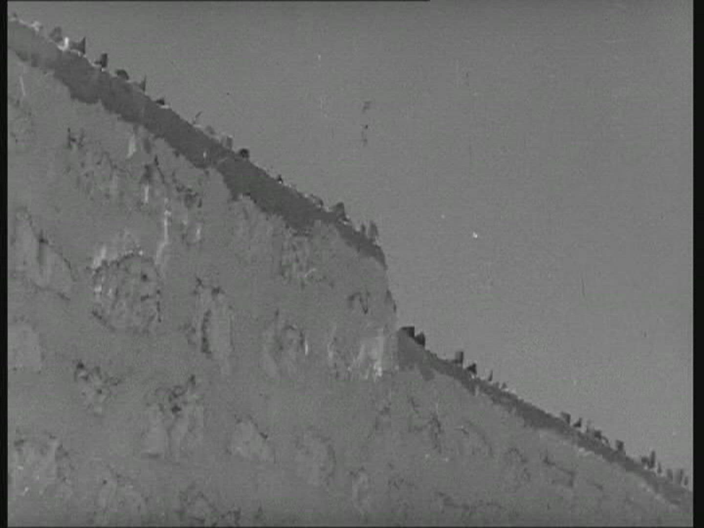 210614556 / People / Libya / 1951