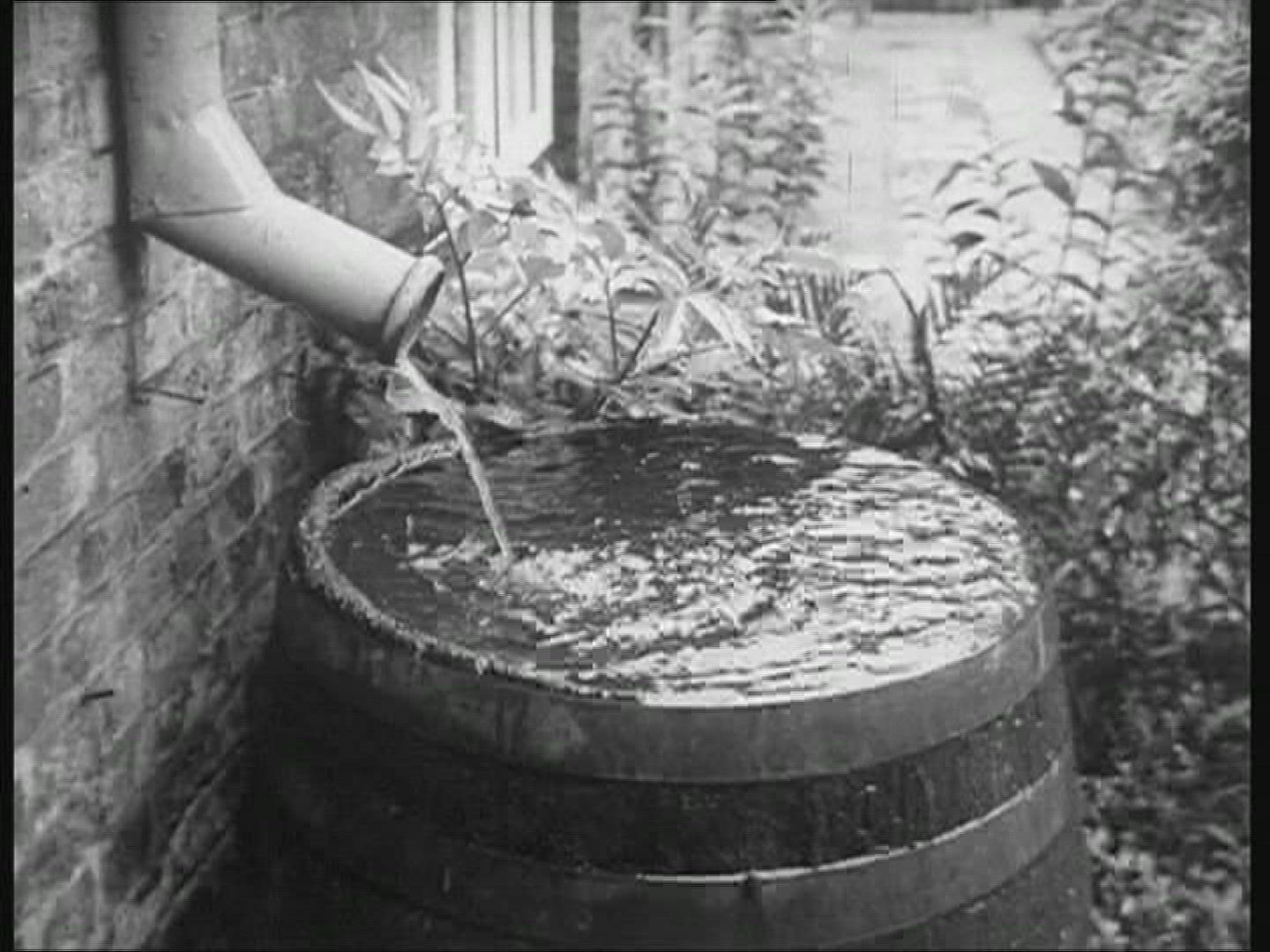 329584286 / Holidays / North Frisian Islands / Germany / 1956