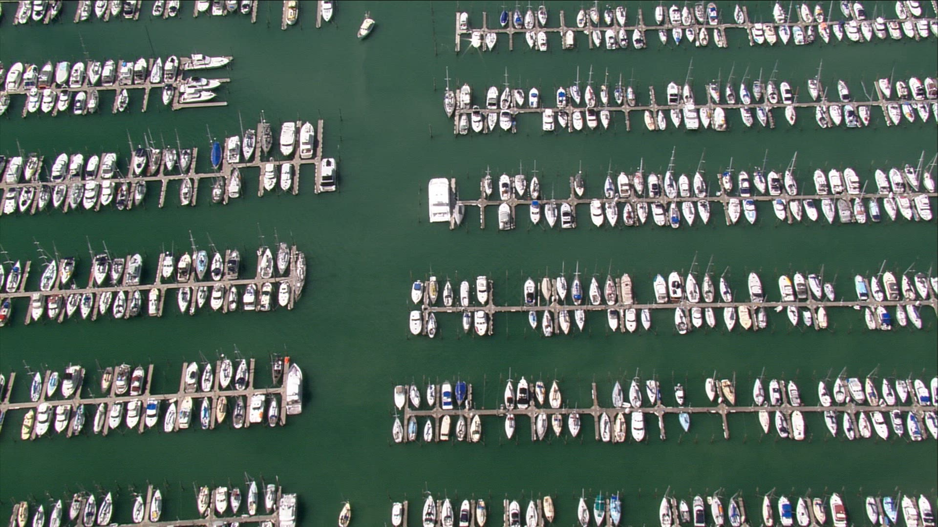 754148775 / Marina / Auckland / New Zealand