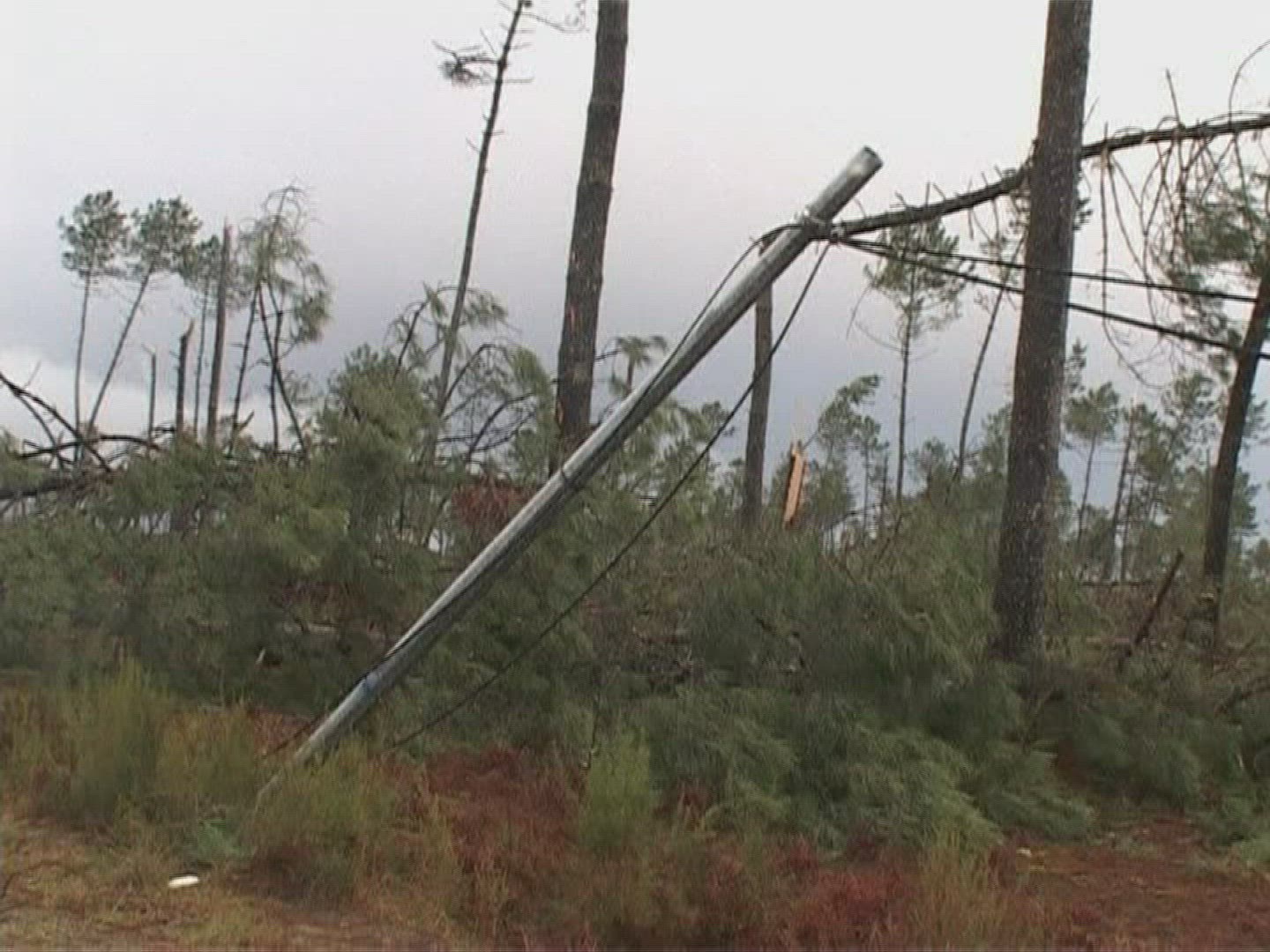 669422813 / Storm Damage / France / 2010