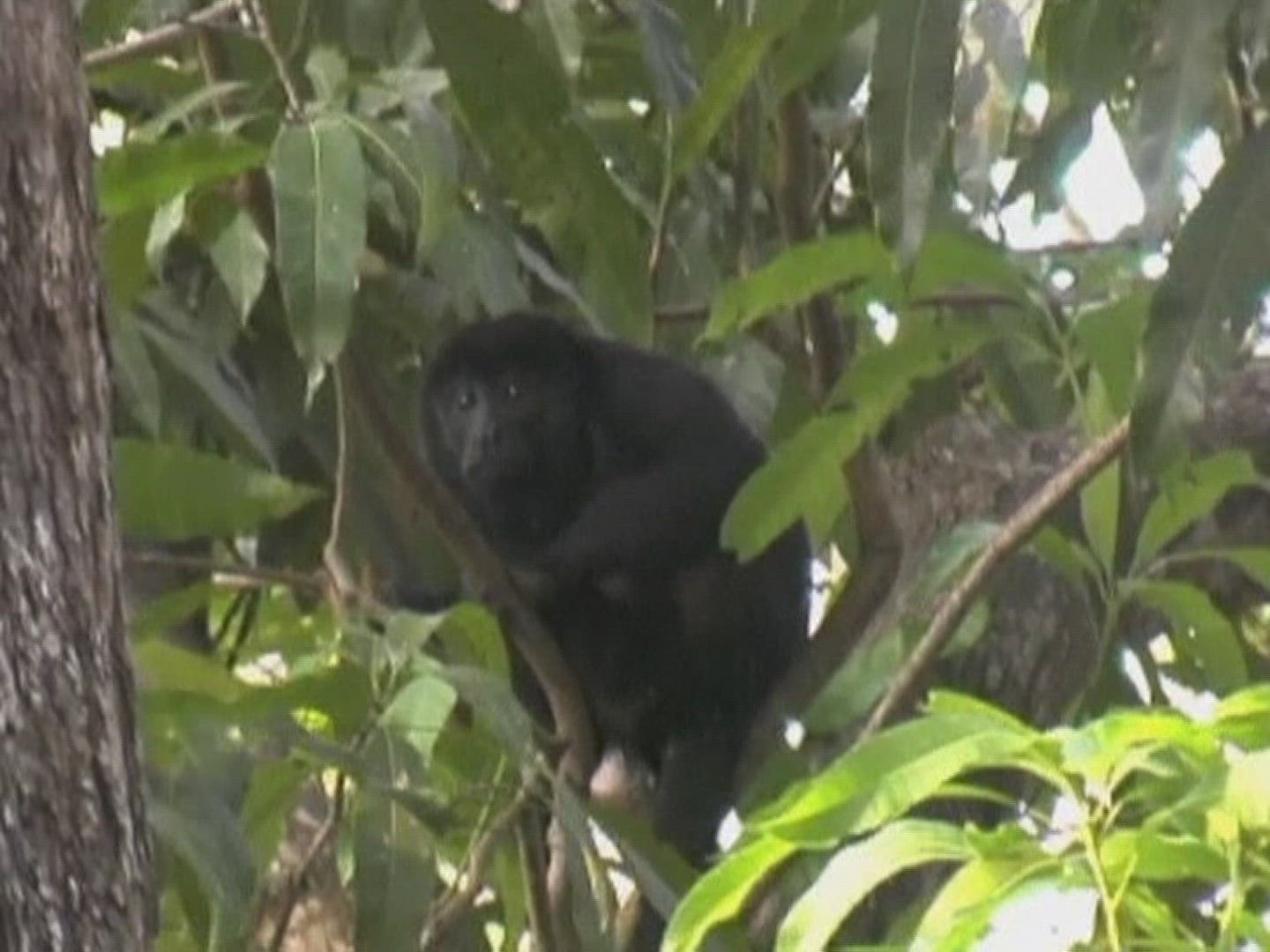 441138359 / February / 2010 / 2010-2019 / 21st Century / 441138359