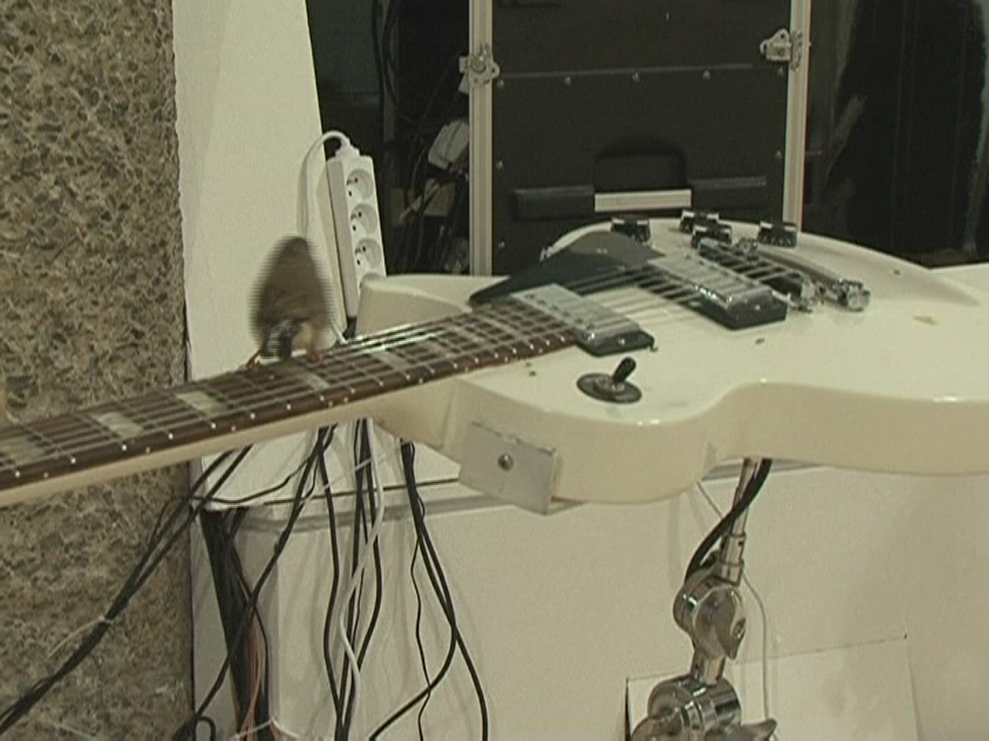 145527577 / February / 2010 / 2010-2019 / 21st Century / 145527577