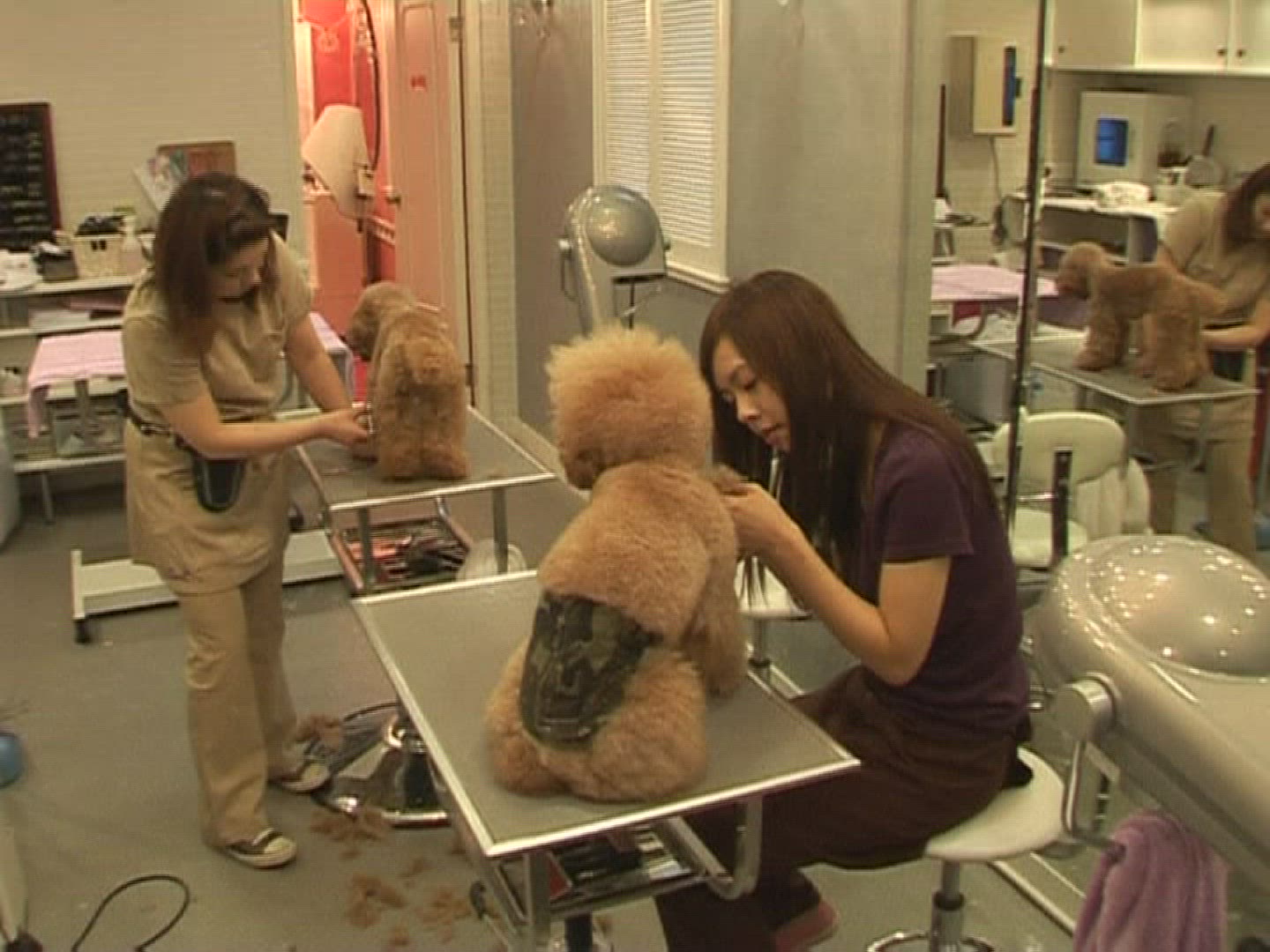 519272567 / Dog Parlour / Dog Bakery / Hong Kong / China