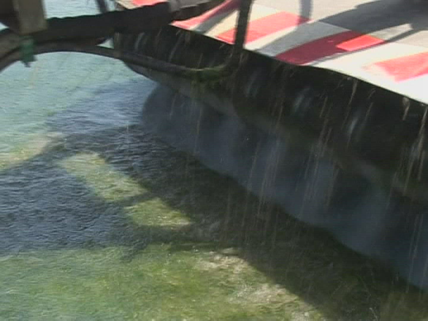 613704966 / Algae Plague / France / 2010