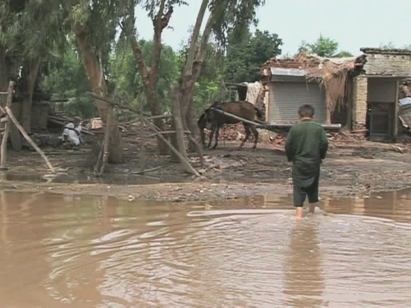 498588432 / Flood Disaster / Flood Victim / Pakistan