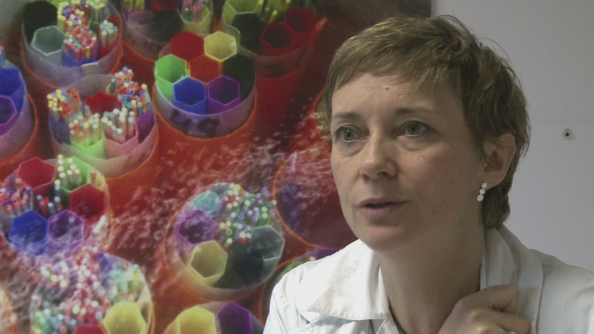 251911651 / News Footage / Jan 11, 2013