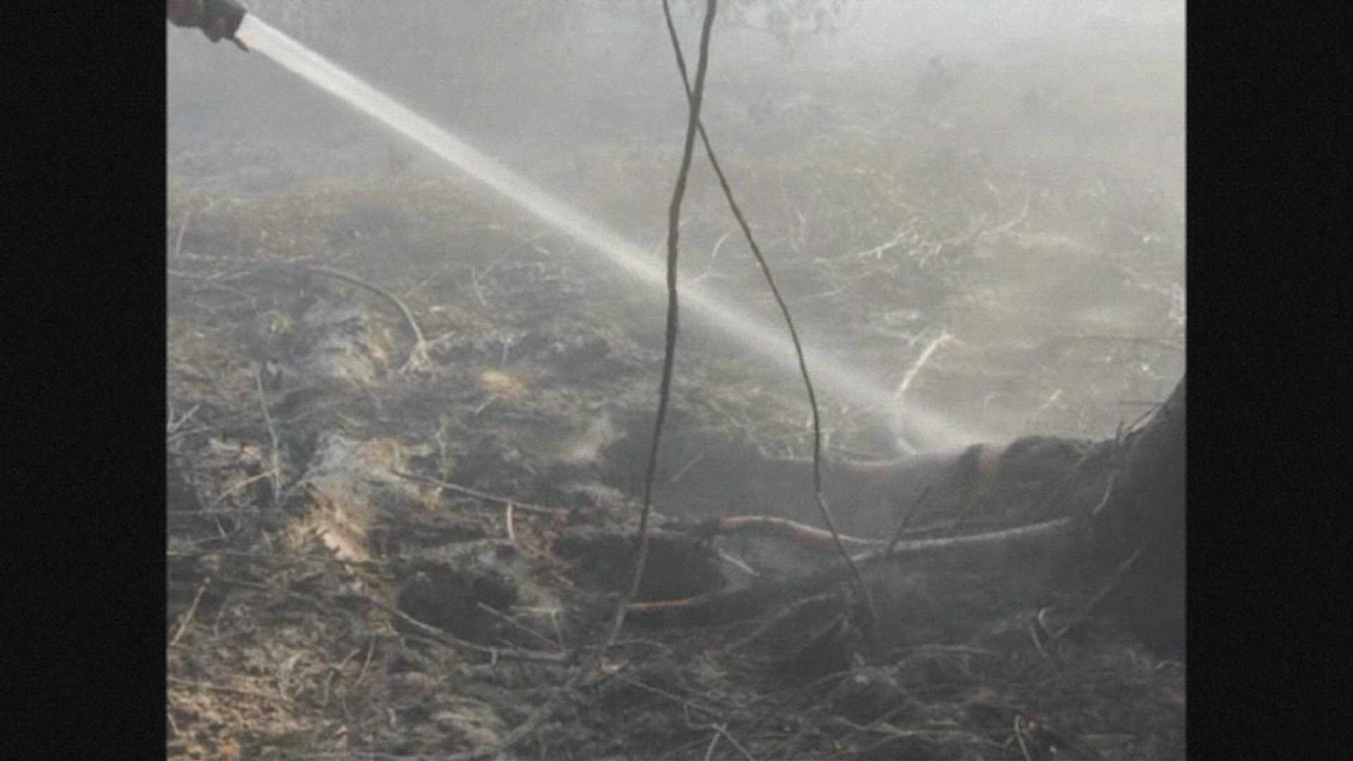 851478116 / News Footage / Jun 21, 2013