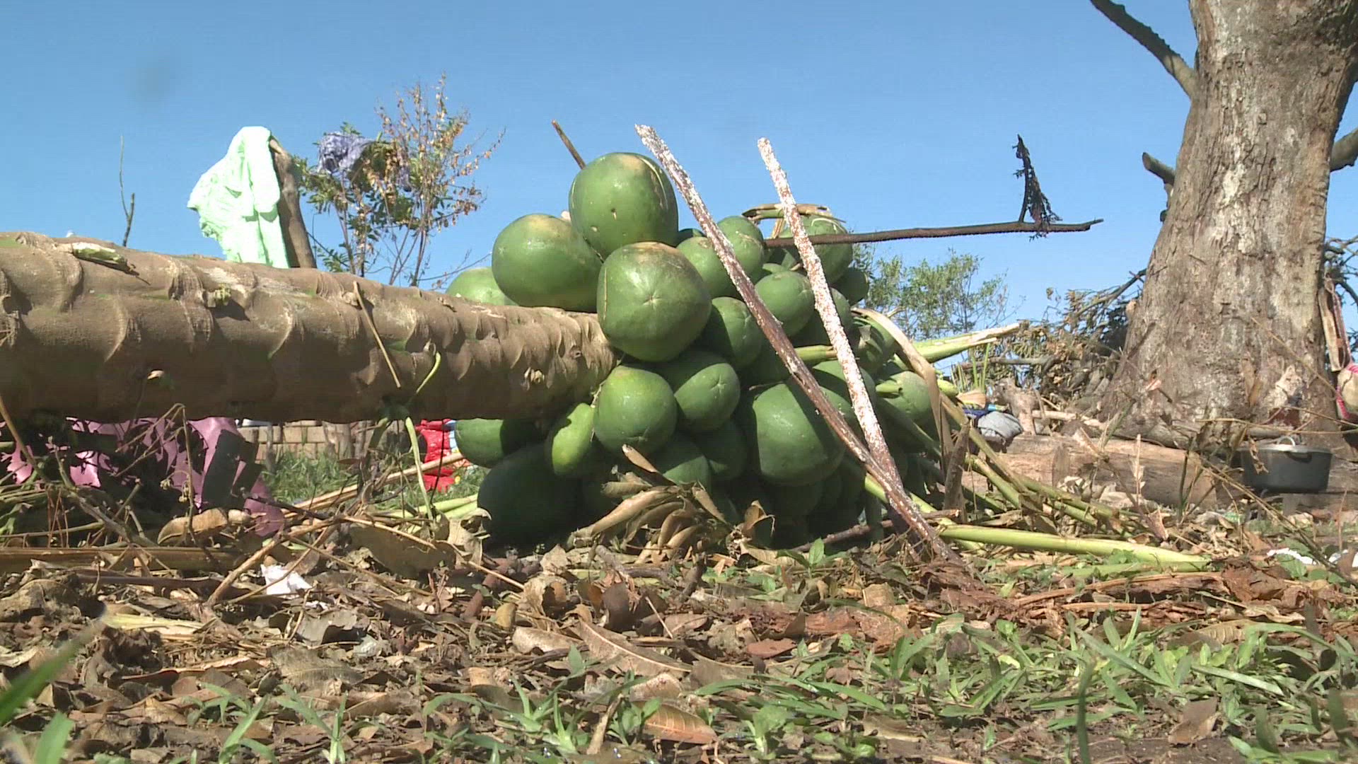 709457411 / News Footage / Mar 18, 2015