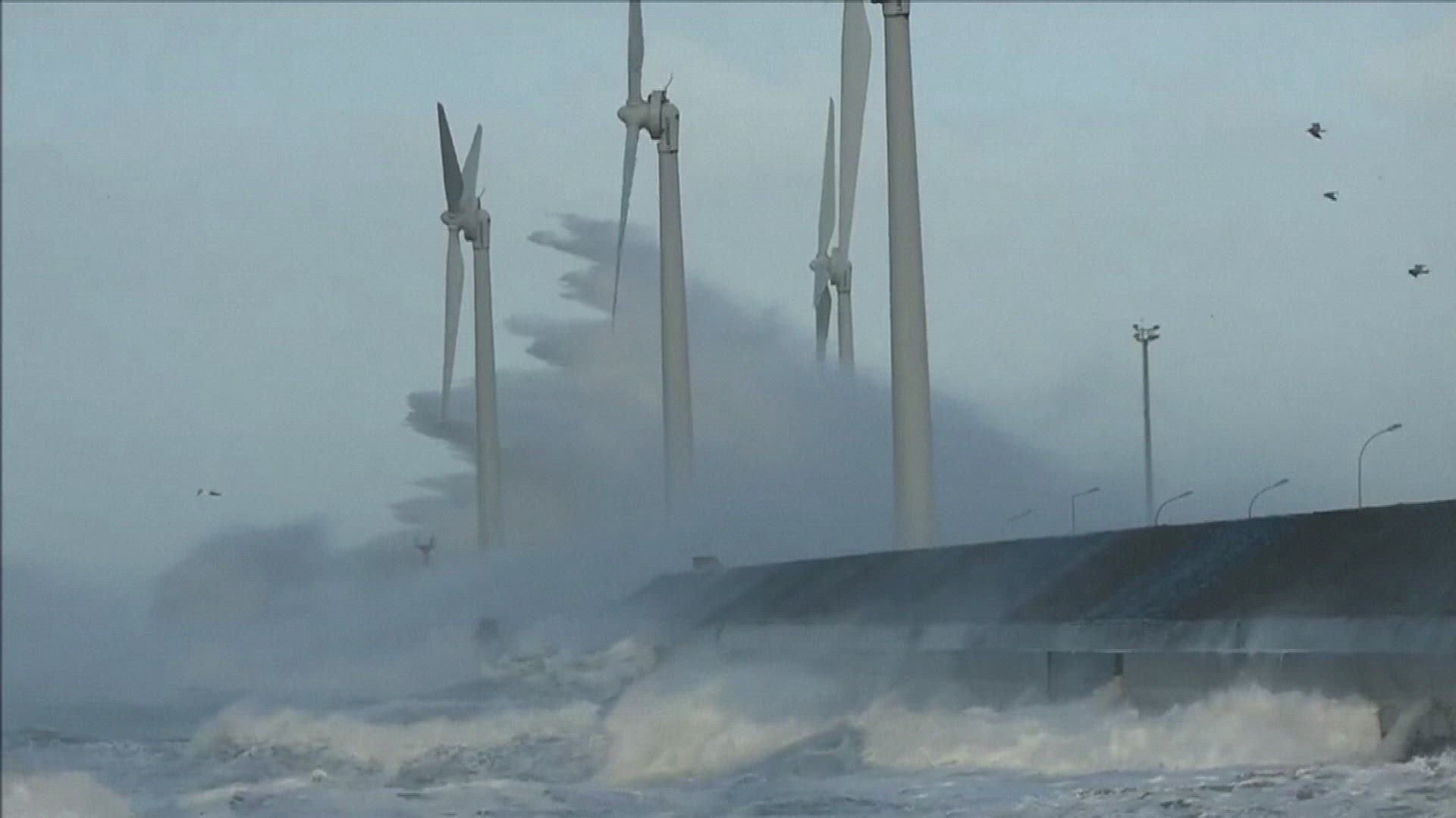 121590454 / News Footage / Feb 8, 2016