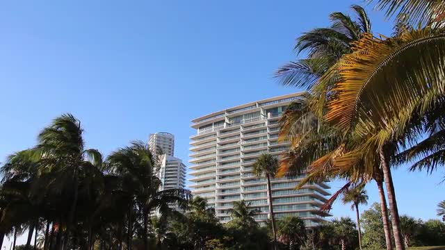Apogee South Beach Condo - Wide Shot -Palm Trees and Blue Skys