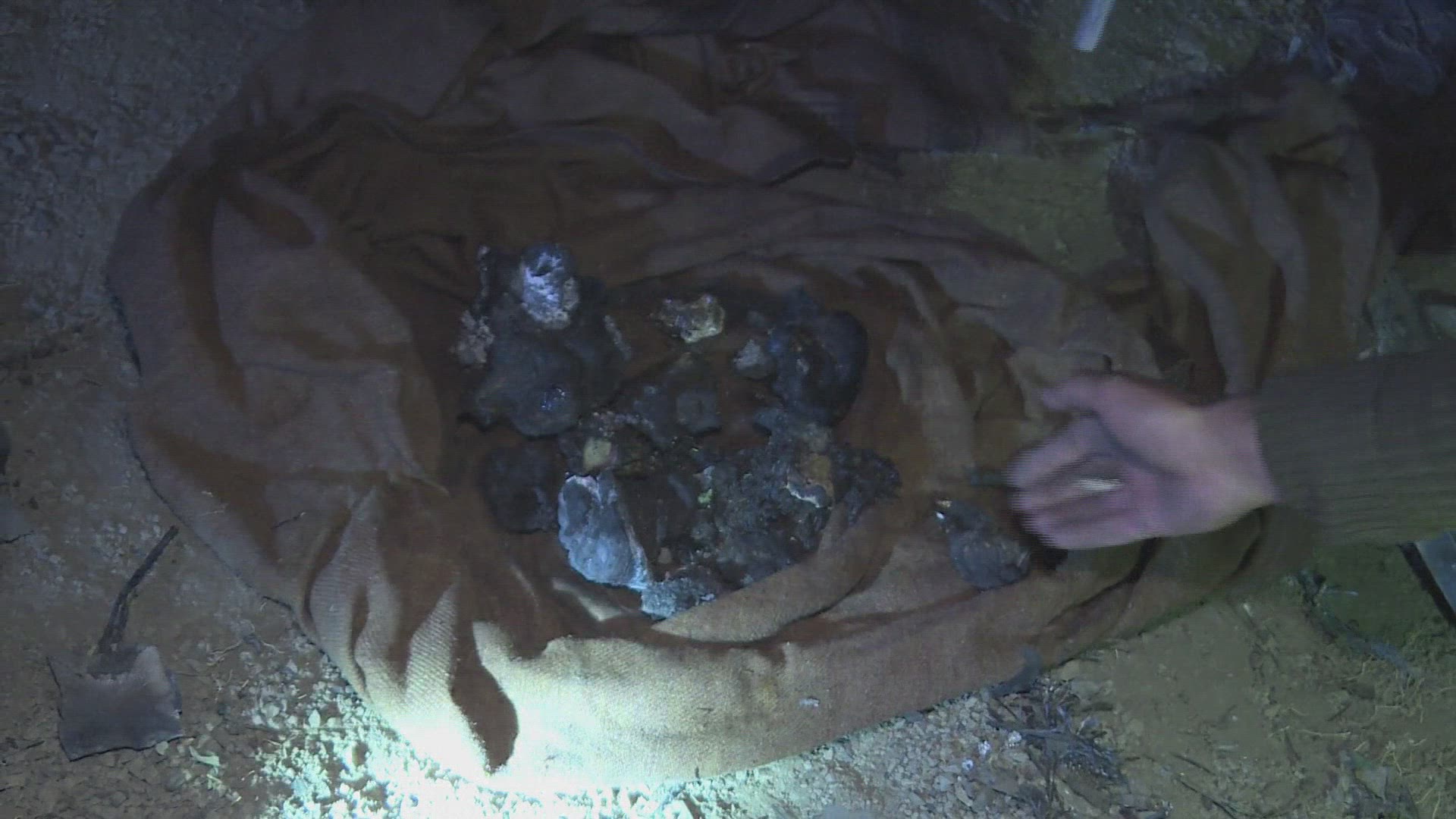 836663857 / News Footage / Dec 7, 2016