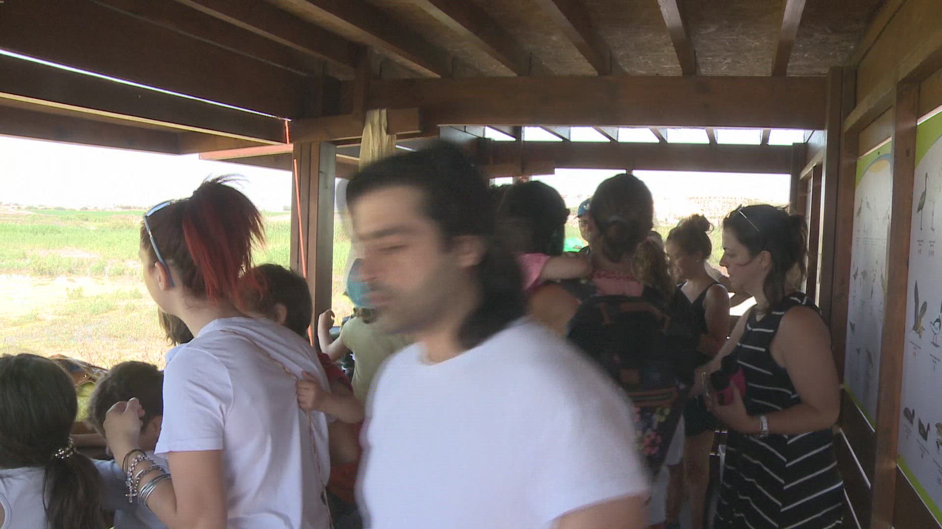 718463612 / News Footage / Jun 18, 2017