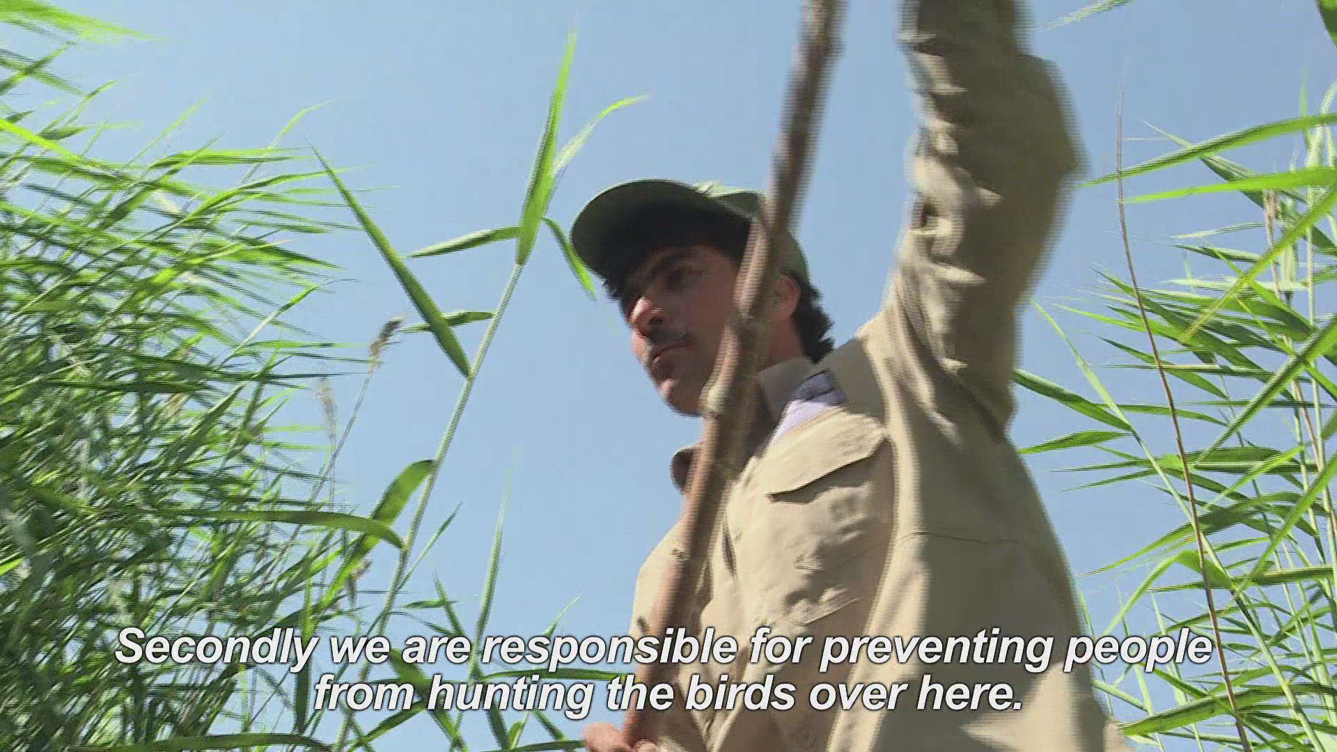 610347919 / News Footage / Jun 13, 2017