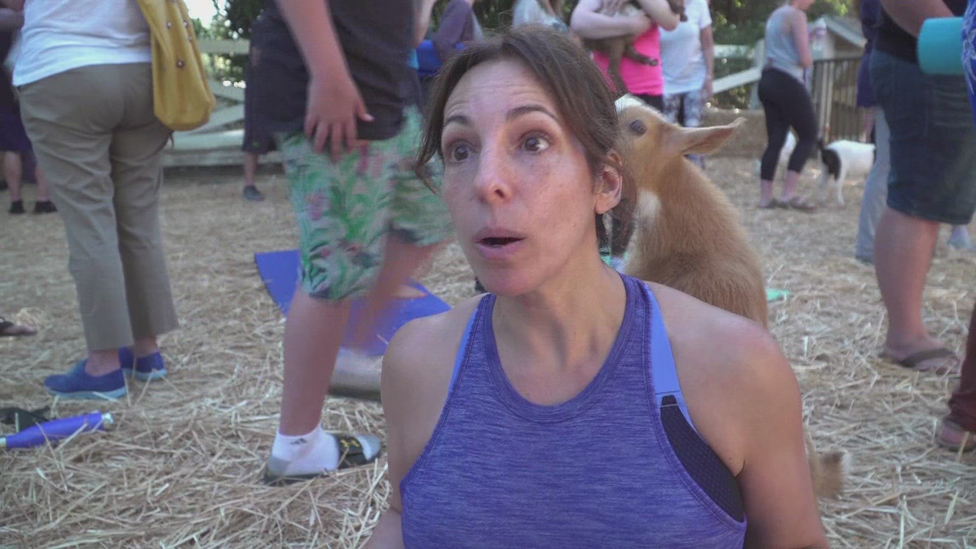 485903901 / News Footage / Jun 15, 2017