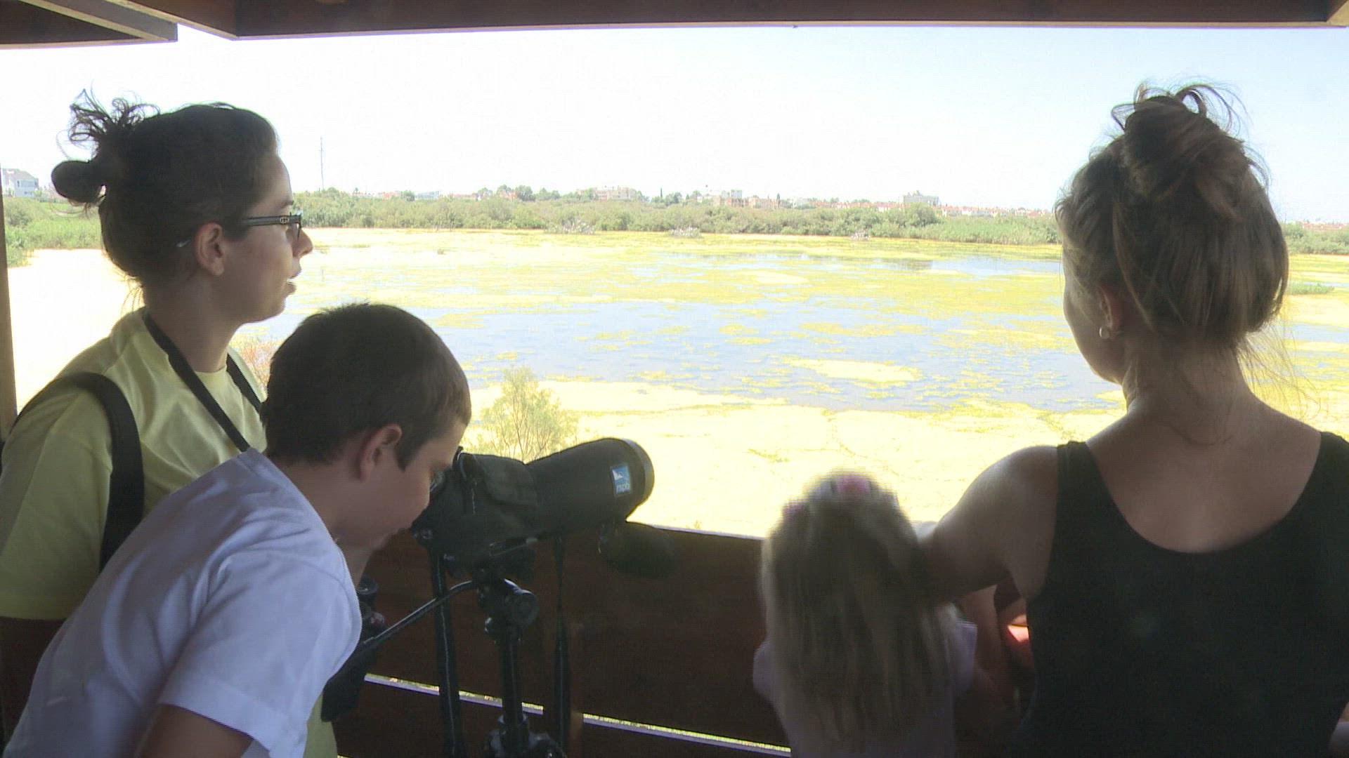 228116620 / News Footage / Jun 18, 2017