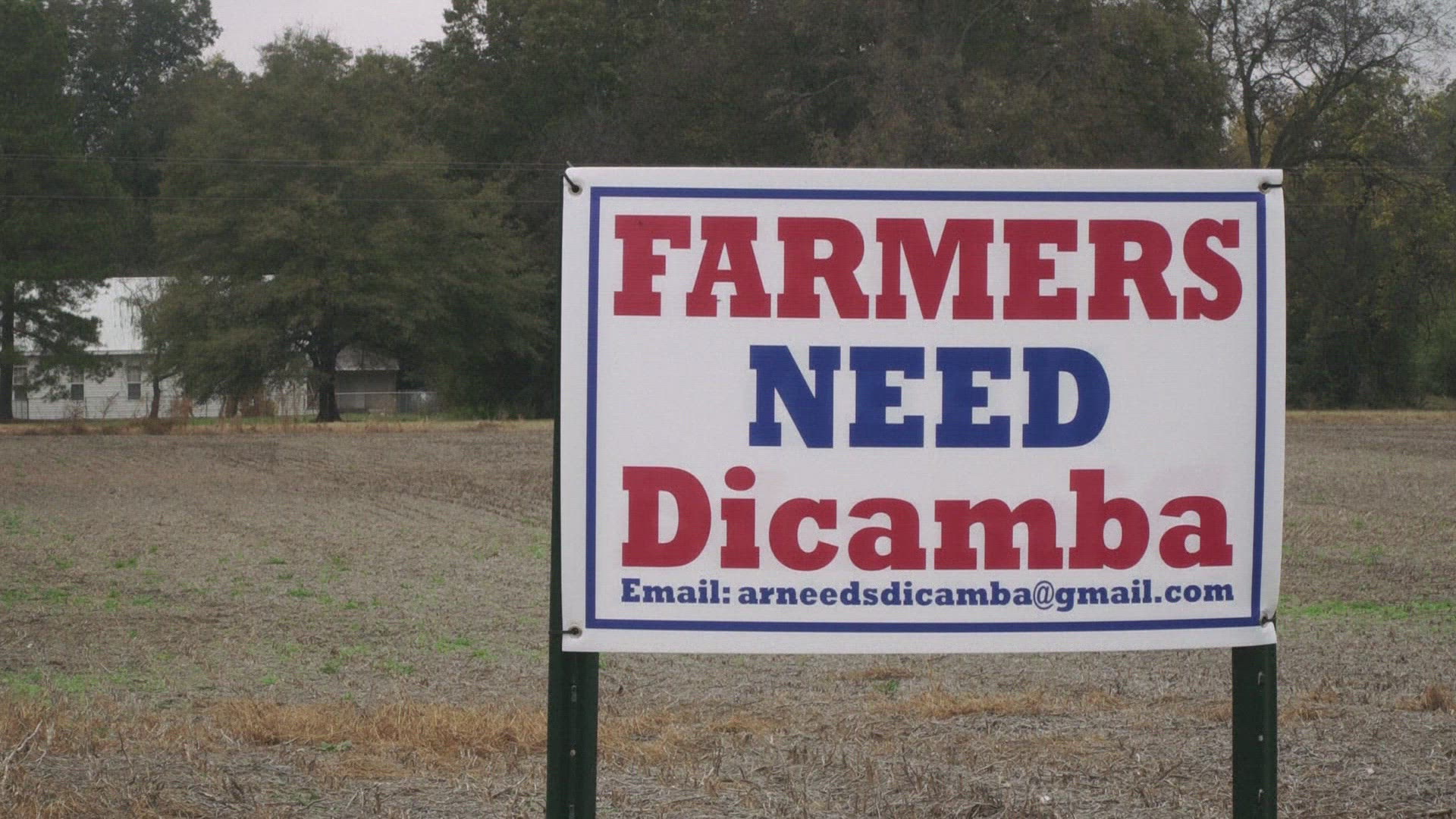 398184807 / News Footage / Nov 13, 2017