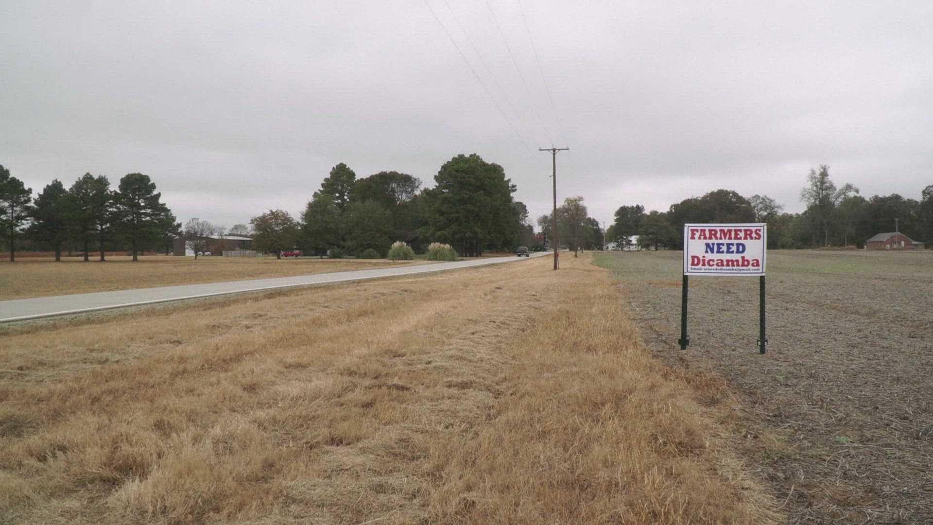 249517810 / News Footage / Nov 13, 2017