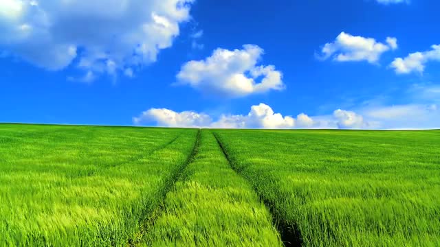 11650609Fieldofdreamsex3