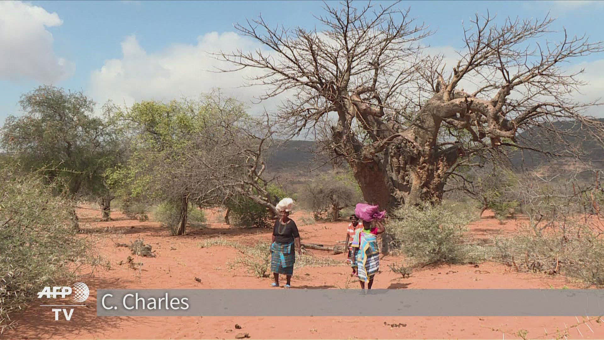 809070480 / News Footage / Sep 24, 2018