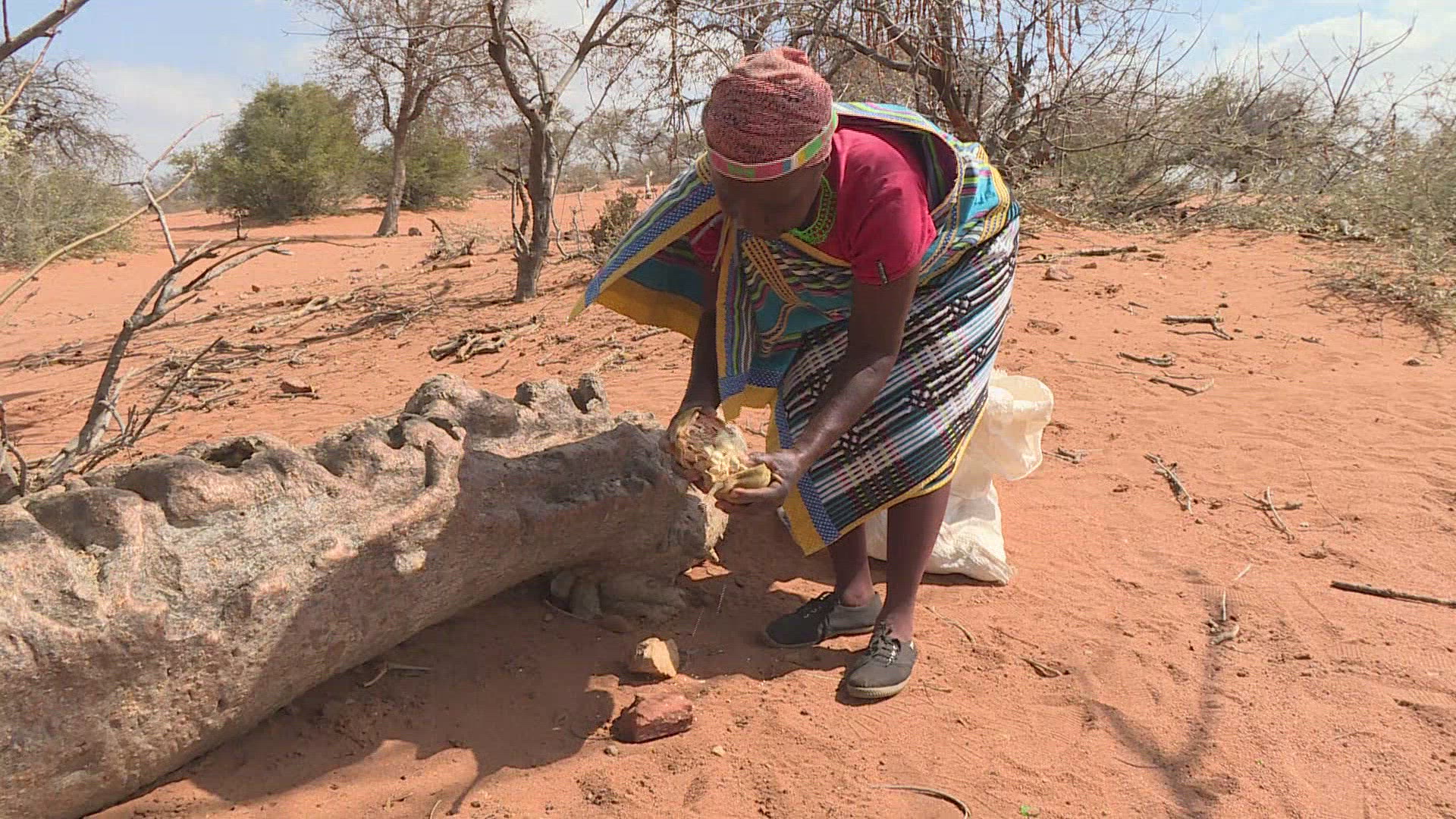 655764125 / News Footage / Sep 24, 2018