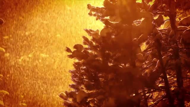 Snow falls heavily at night time.