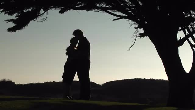 A silhouette of man and woman embrace under a tree.