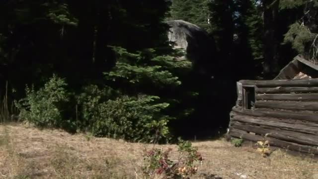The remains of a log cabin stand in a wooded area.