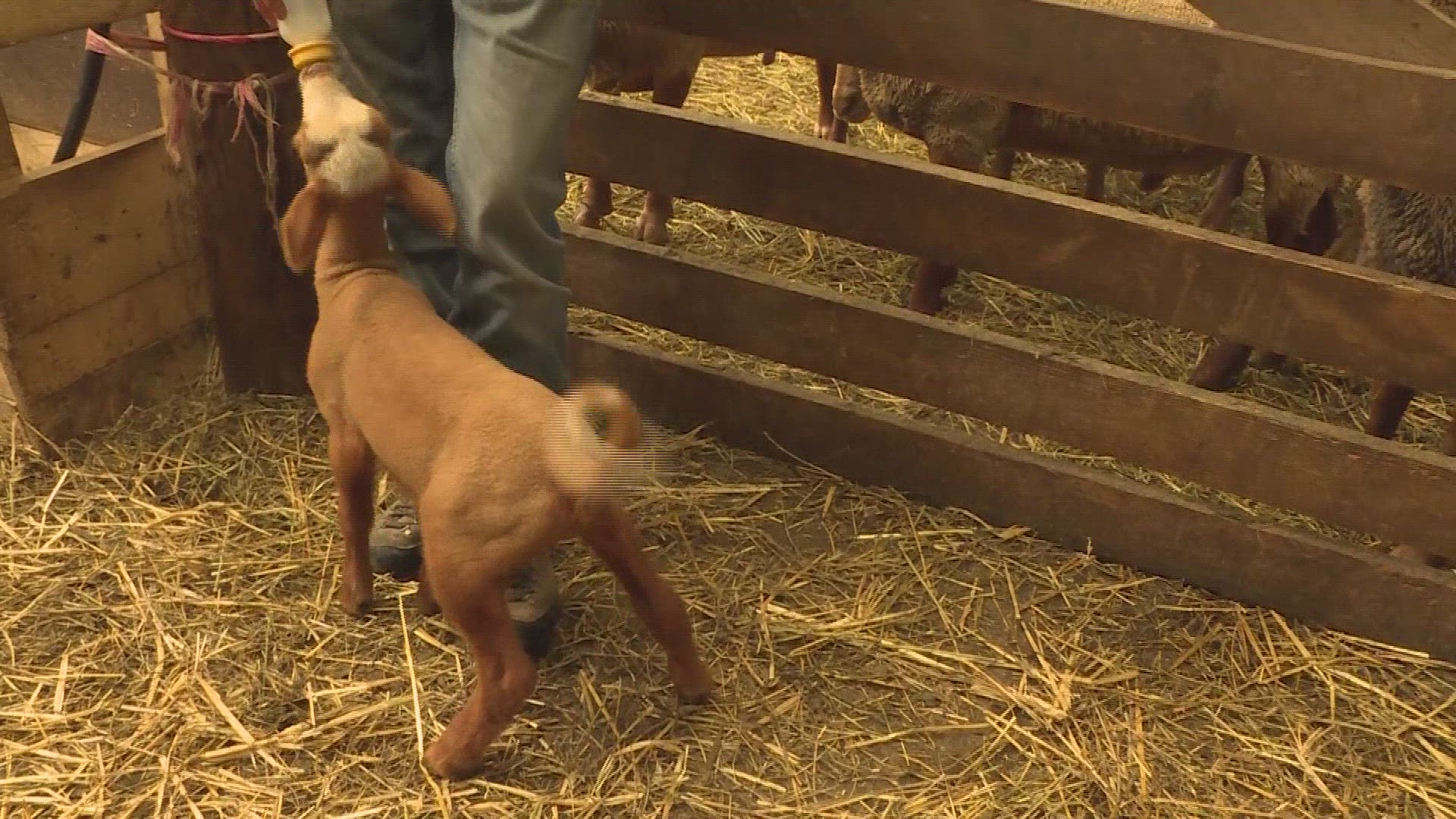 182871105 / News Footage / Jun 8, 2019