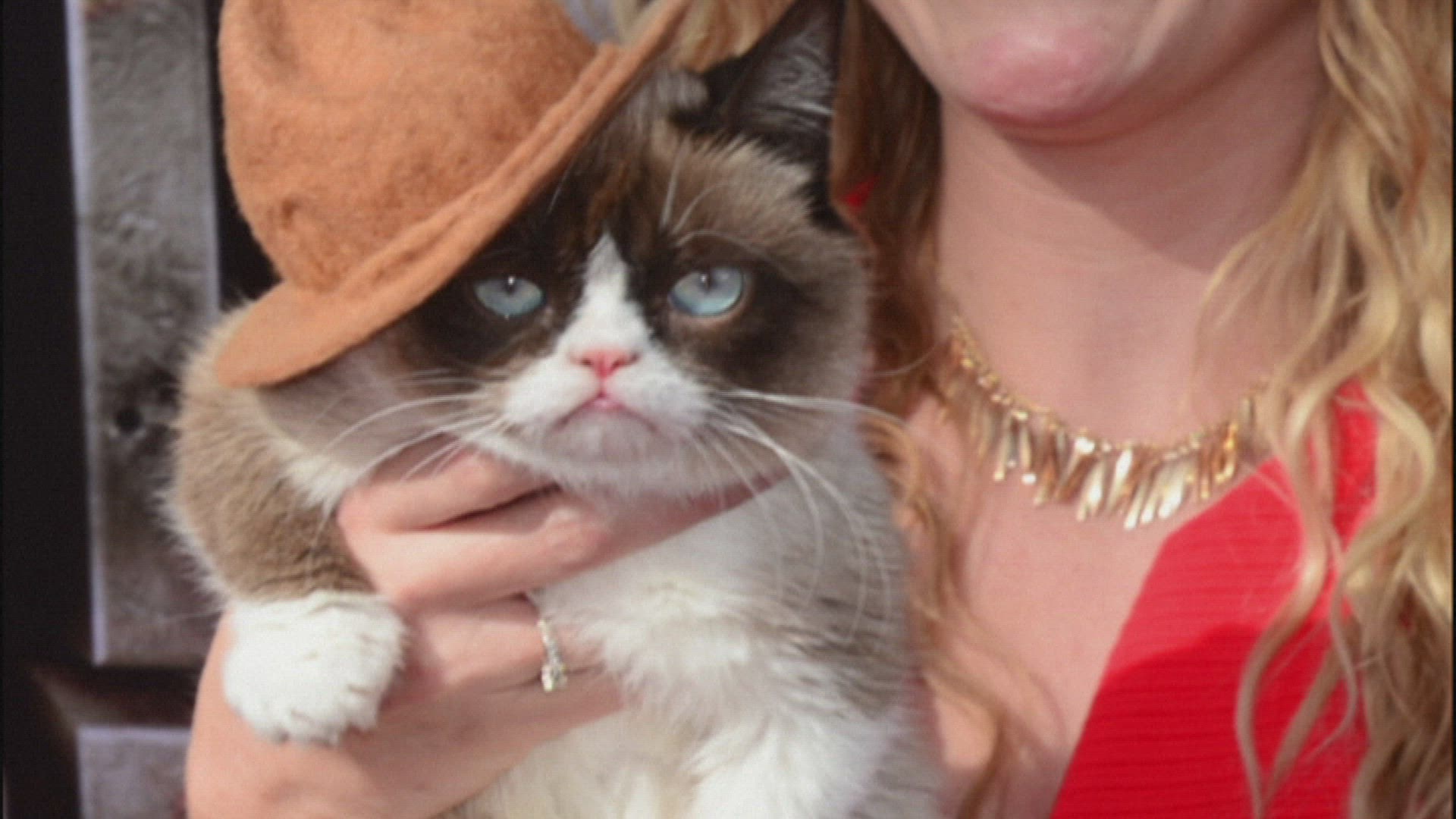 207653230 / News Footage / May 17, 2019