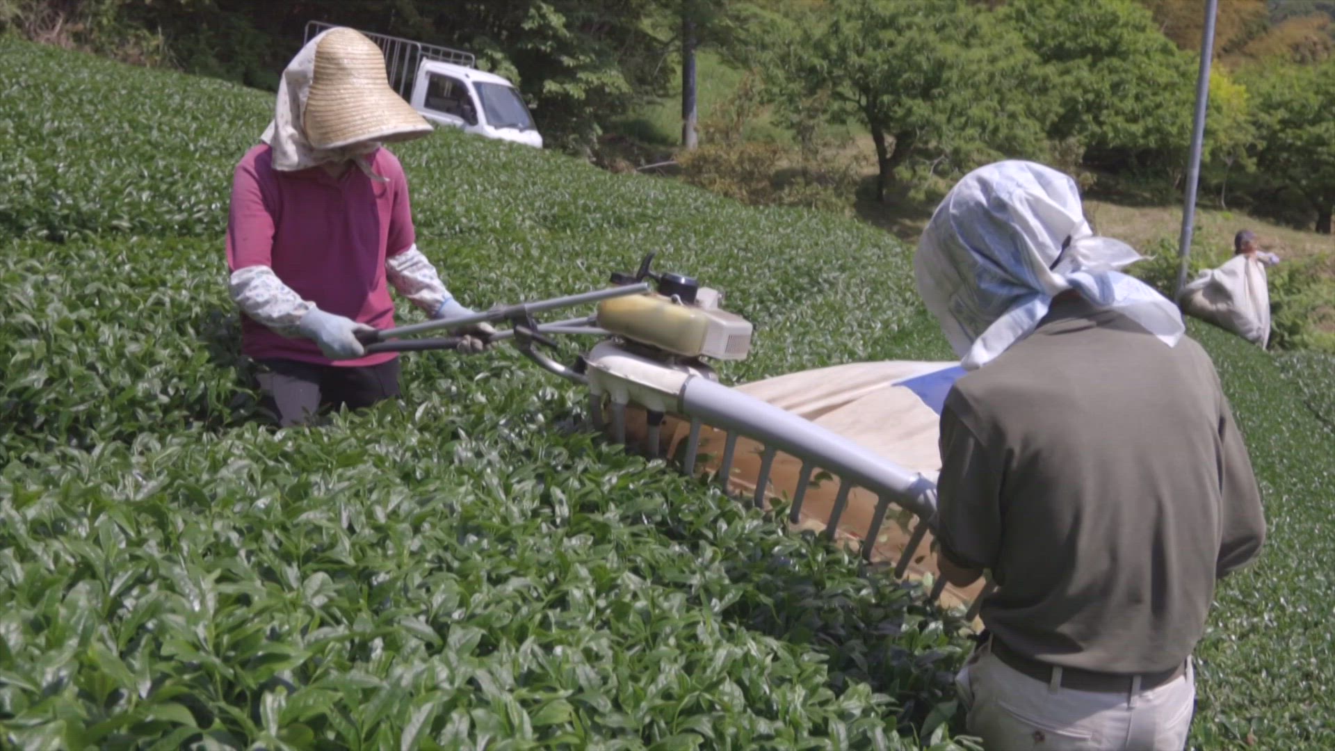 679386614 / News Footage / Aug 28, 2019