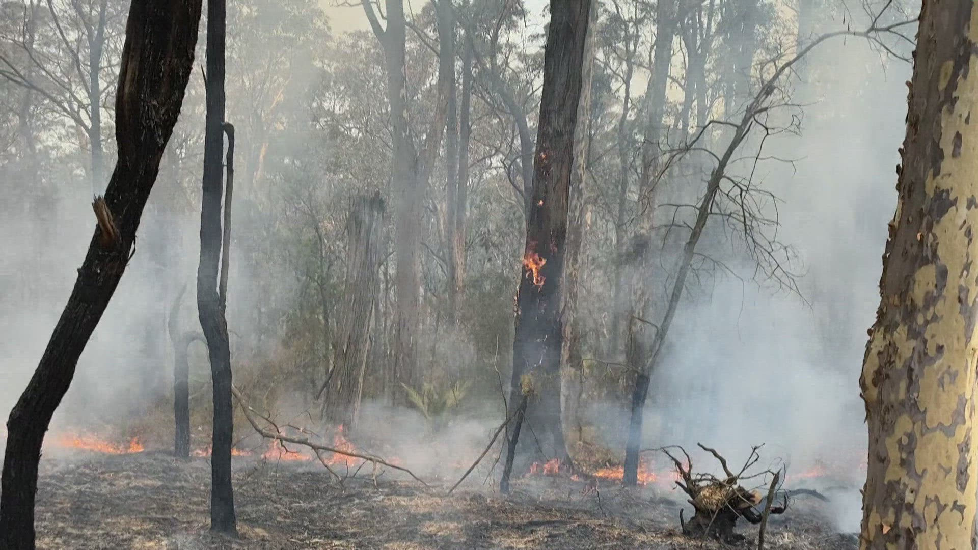 376630649 / News Footage / Jan 3, 2020