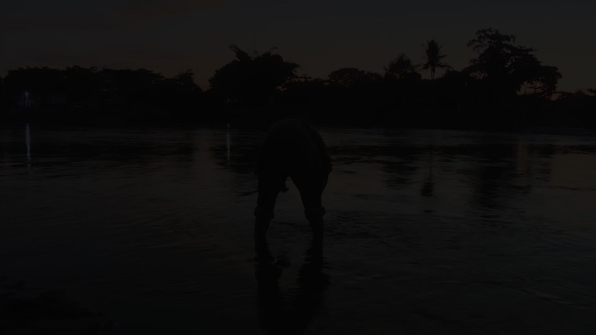 268713484 / News Footage / Jan 21, 2020