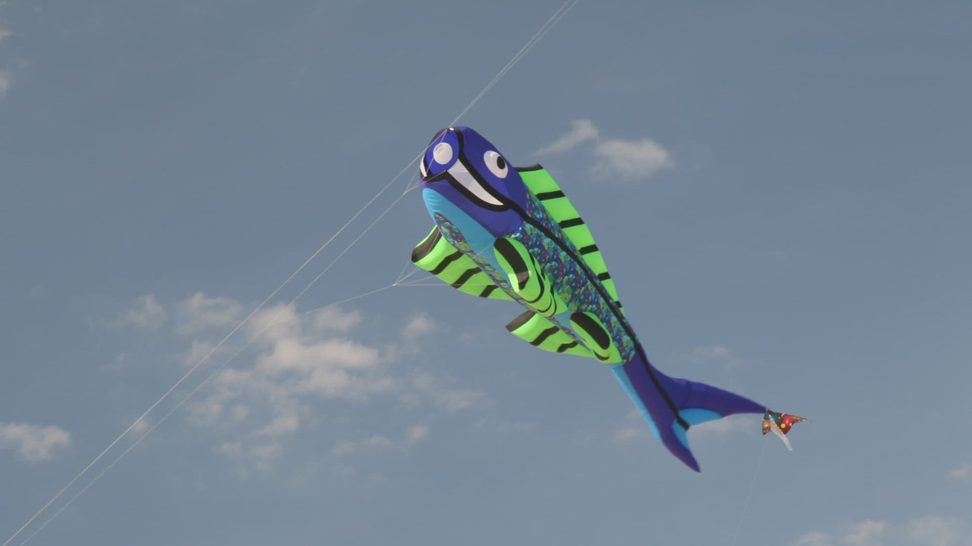965097618 / Kite Festival Dieppe / Pas-de-Calais / France