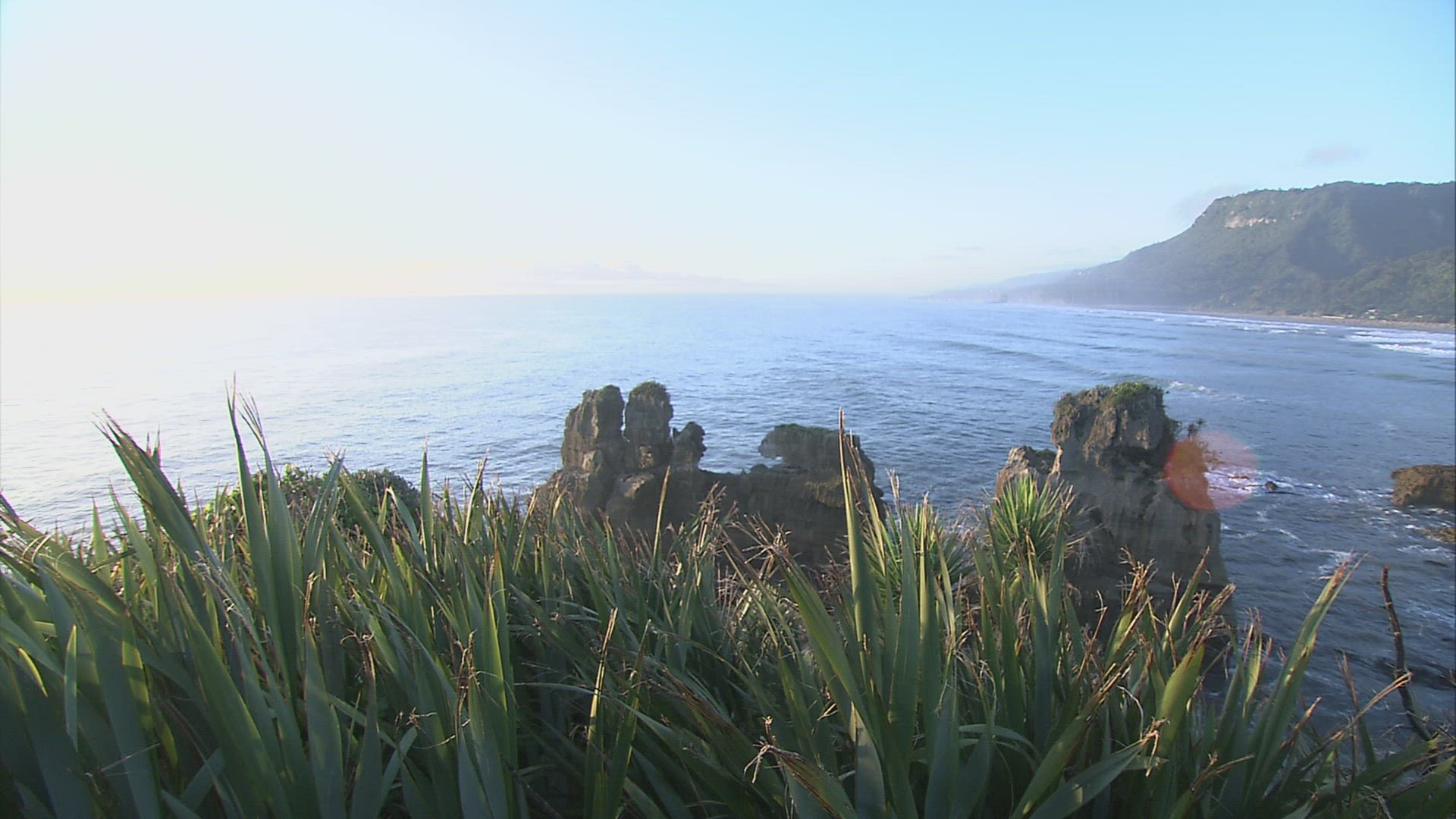 289239433 / Punakaiki / South Island / New Zealand