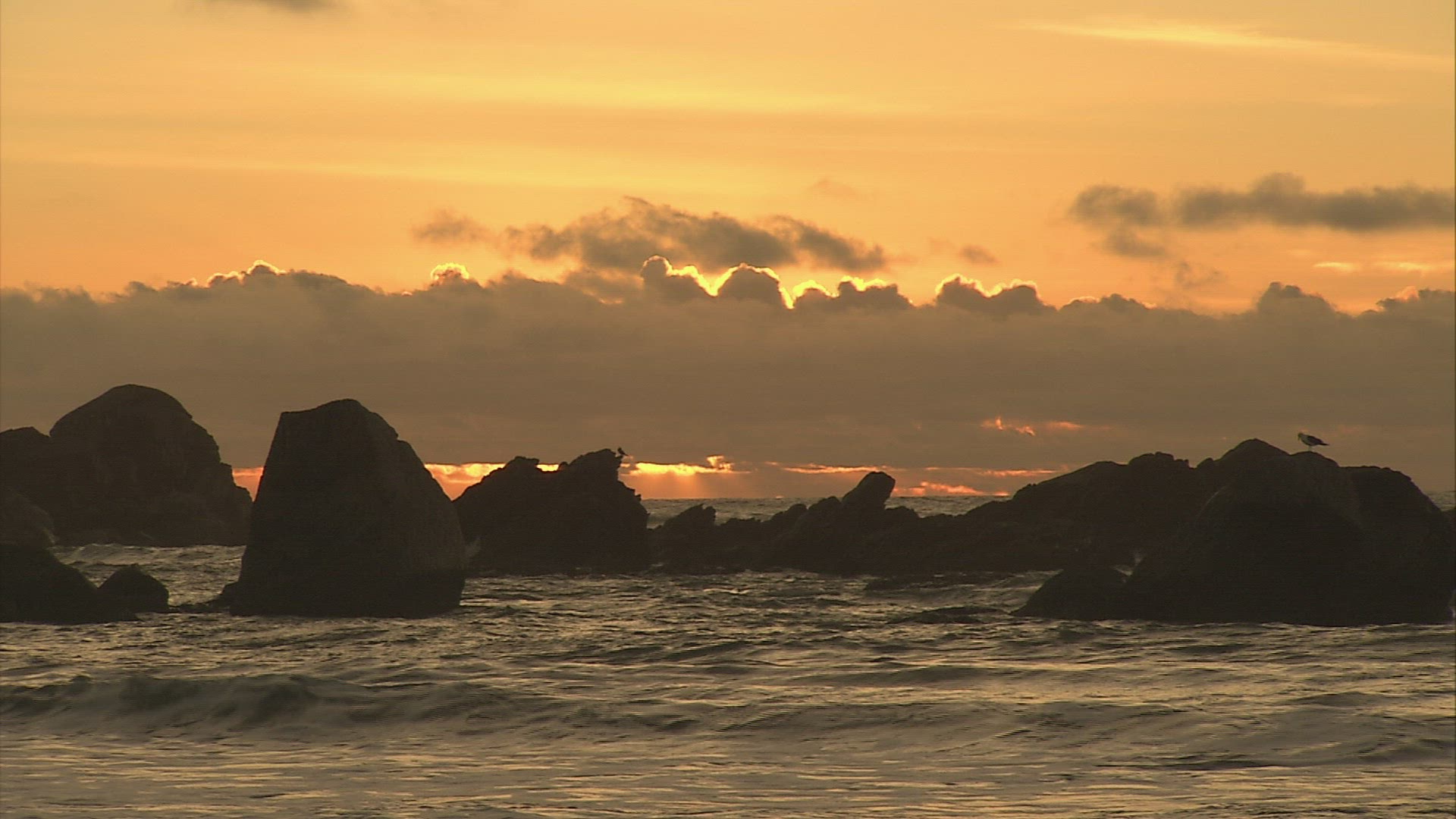 334463543 / South Pacific / South Island / New Zealand