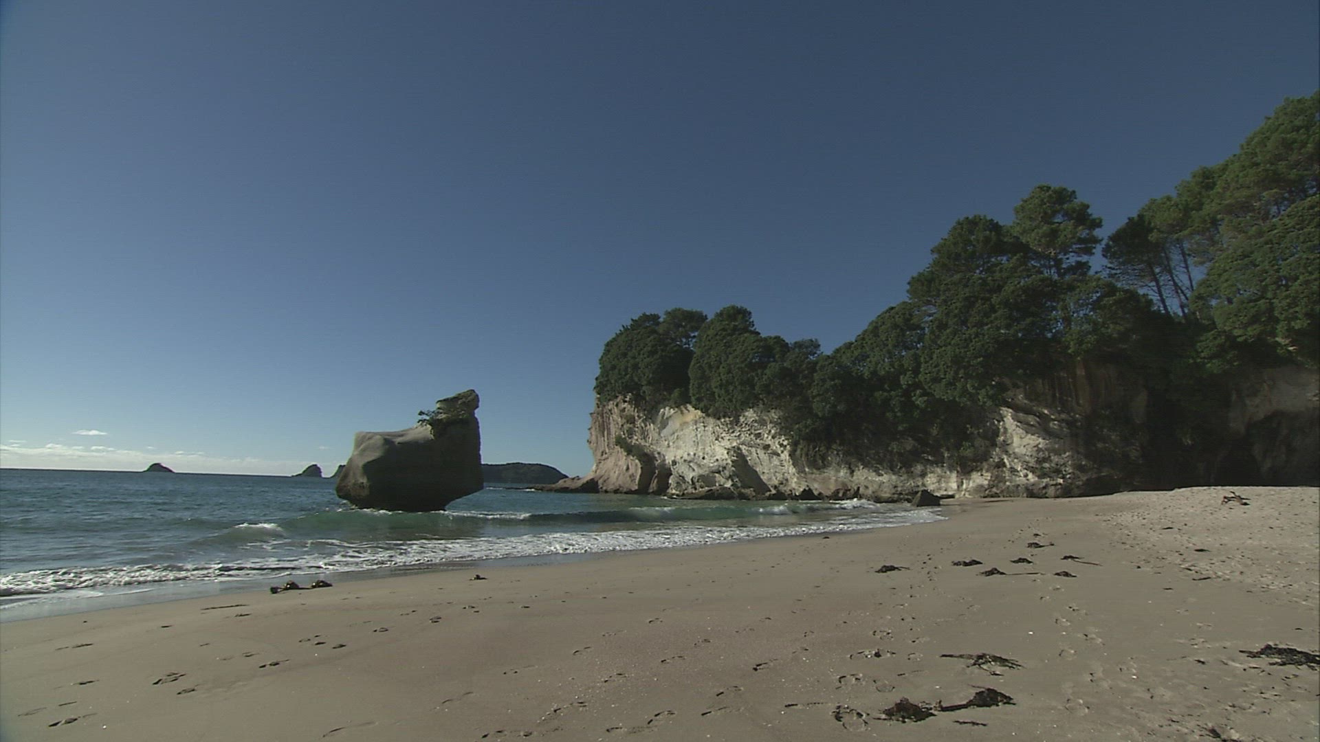 771276159 / Te Whanganui-A-Hei / North Island / New Zealand