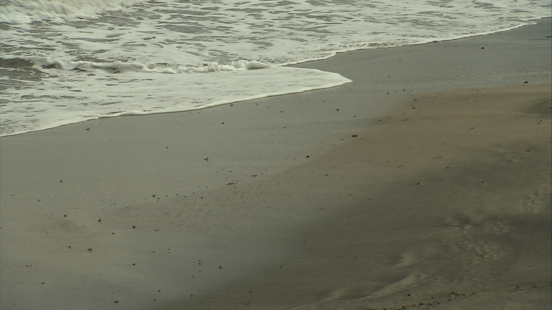191260152 / Beach / Atlantic Ocean / Martinique